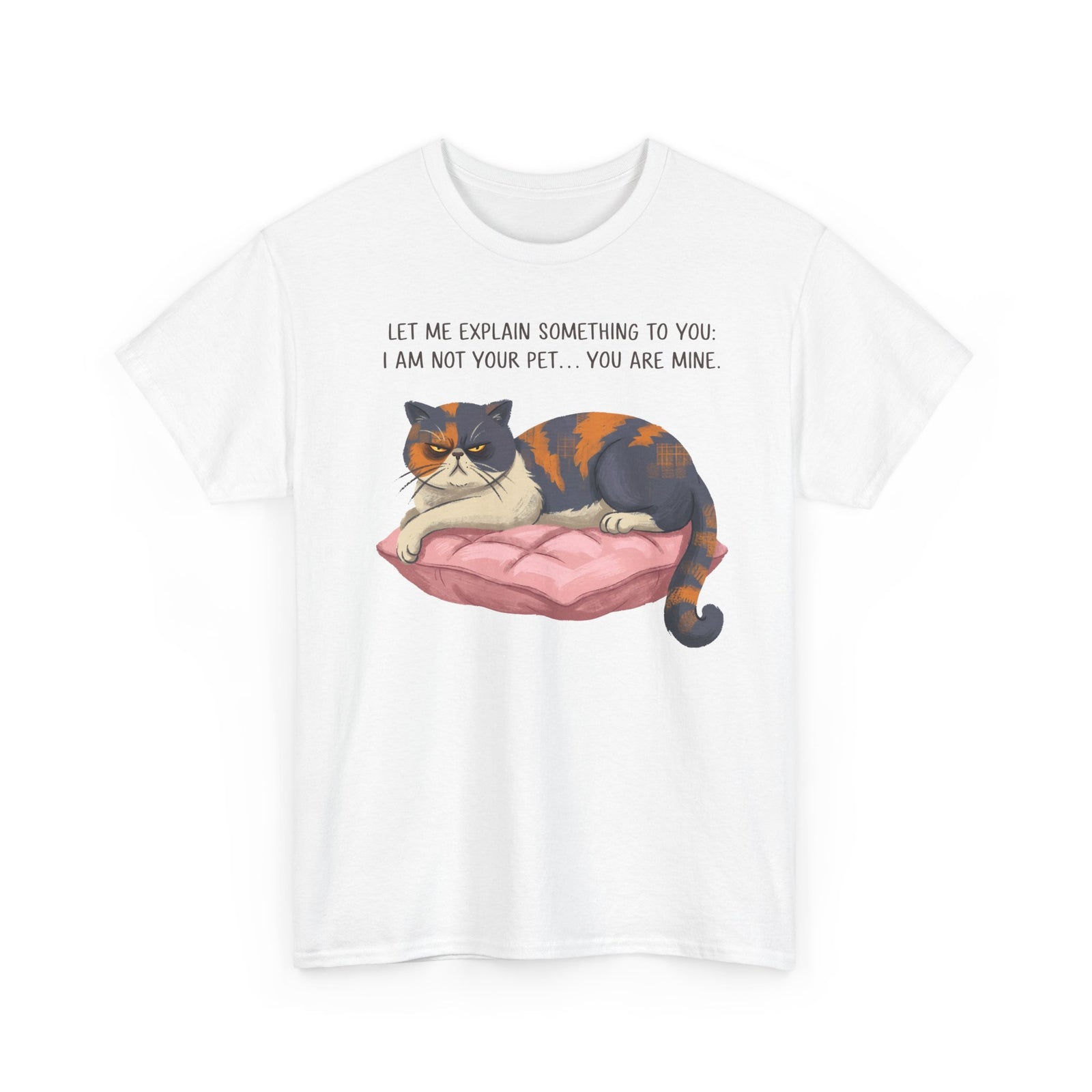You Are Mine Cat T-Shirt — Grumpy Exotic Shorthair Calico Graphic Tee