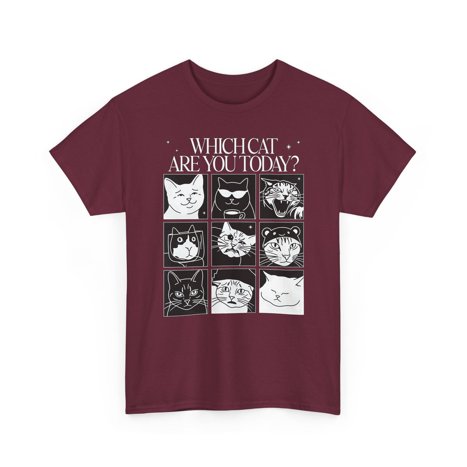 Which Cat You Choose Today T-Shirt — Playful Cat Lover Graphic Tee
