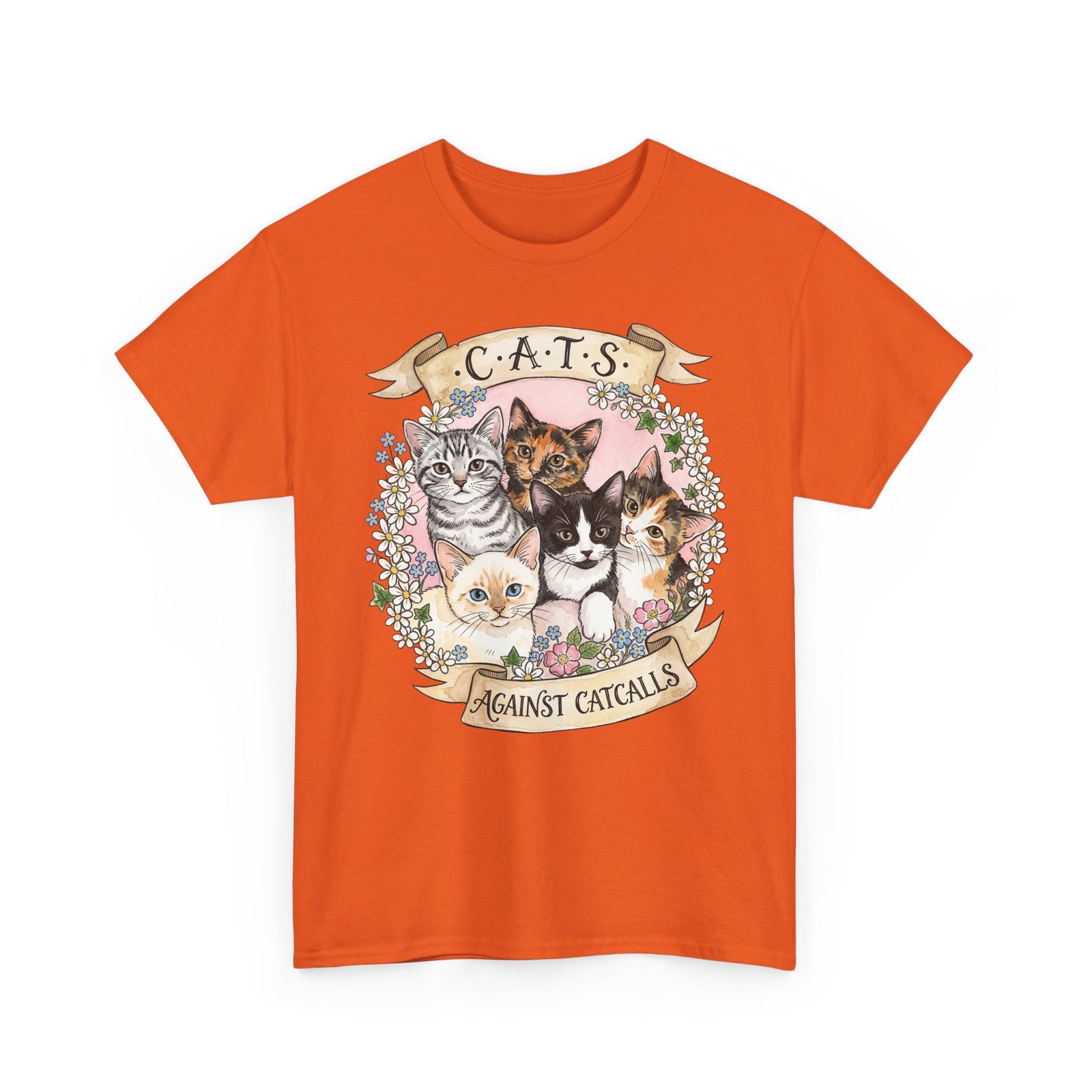 Cat Against Catcalls T-Shirt — Feminist Anti-Harassment Tee