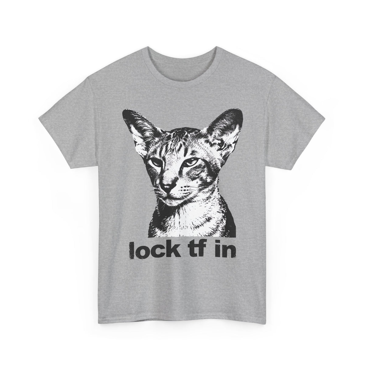 Cat Graphic Tee — "lock tf in" Retro Sphynx Illustration
