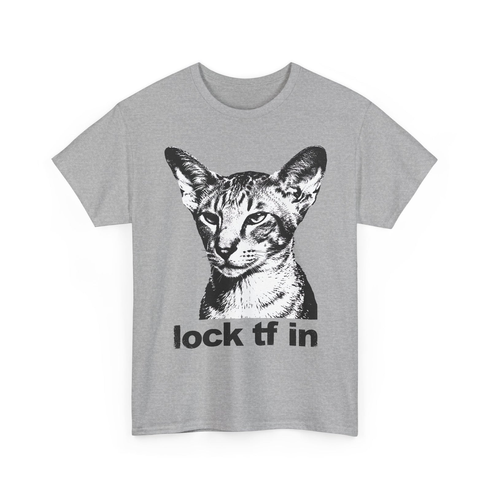 Cat Graphic Tee — "lock tf in" Retro Sphynx Illustration