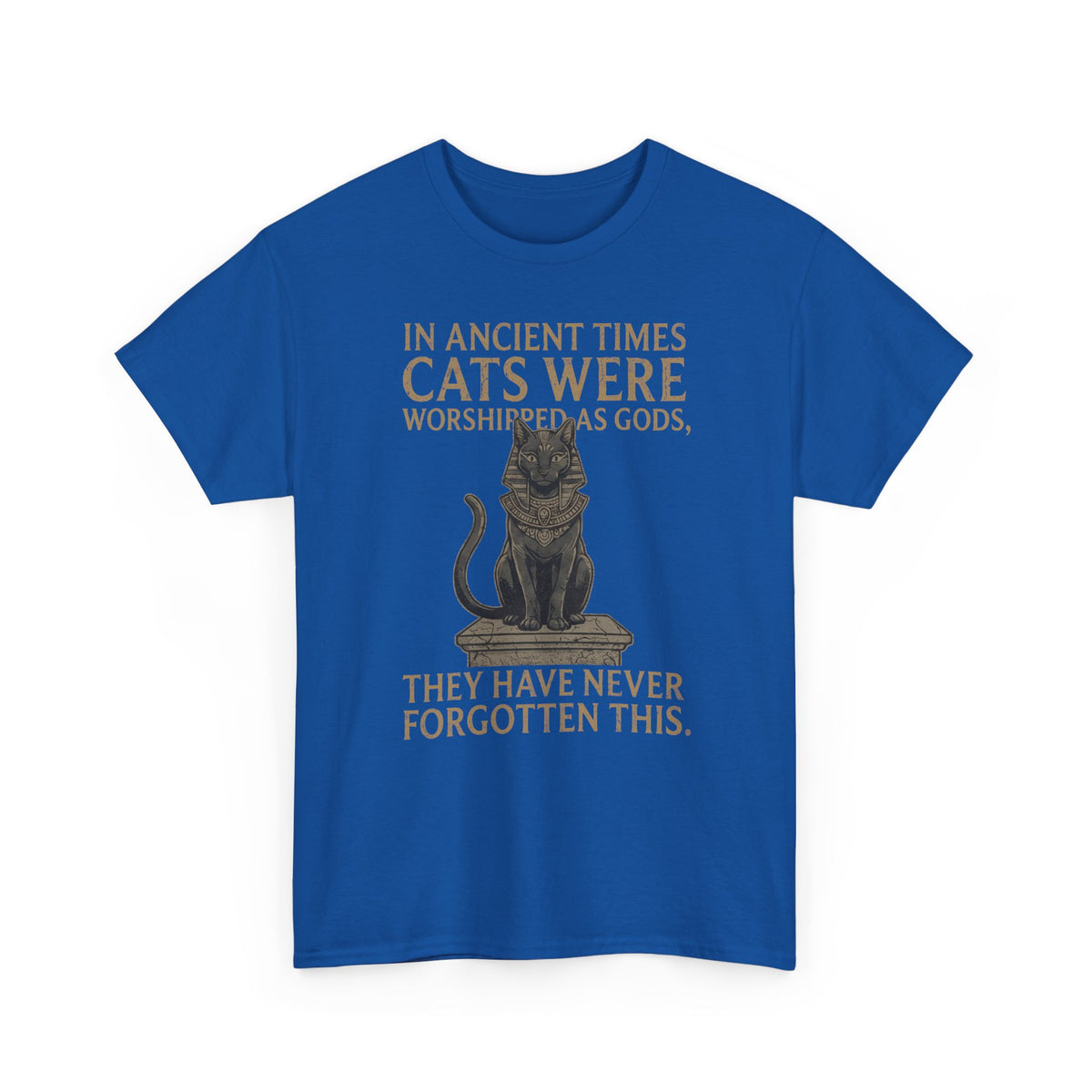 In Ancient Times Cats Were Worshipped Gods T-Shirt