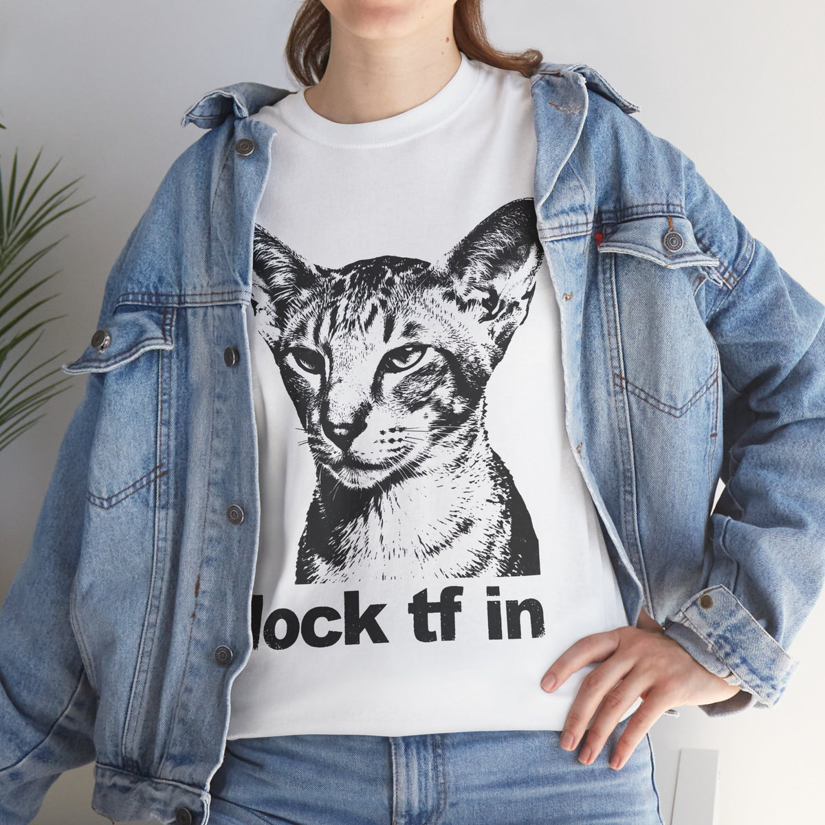 Cat Graphic Tee — "lock tf in" Retro Sphynx Illustration