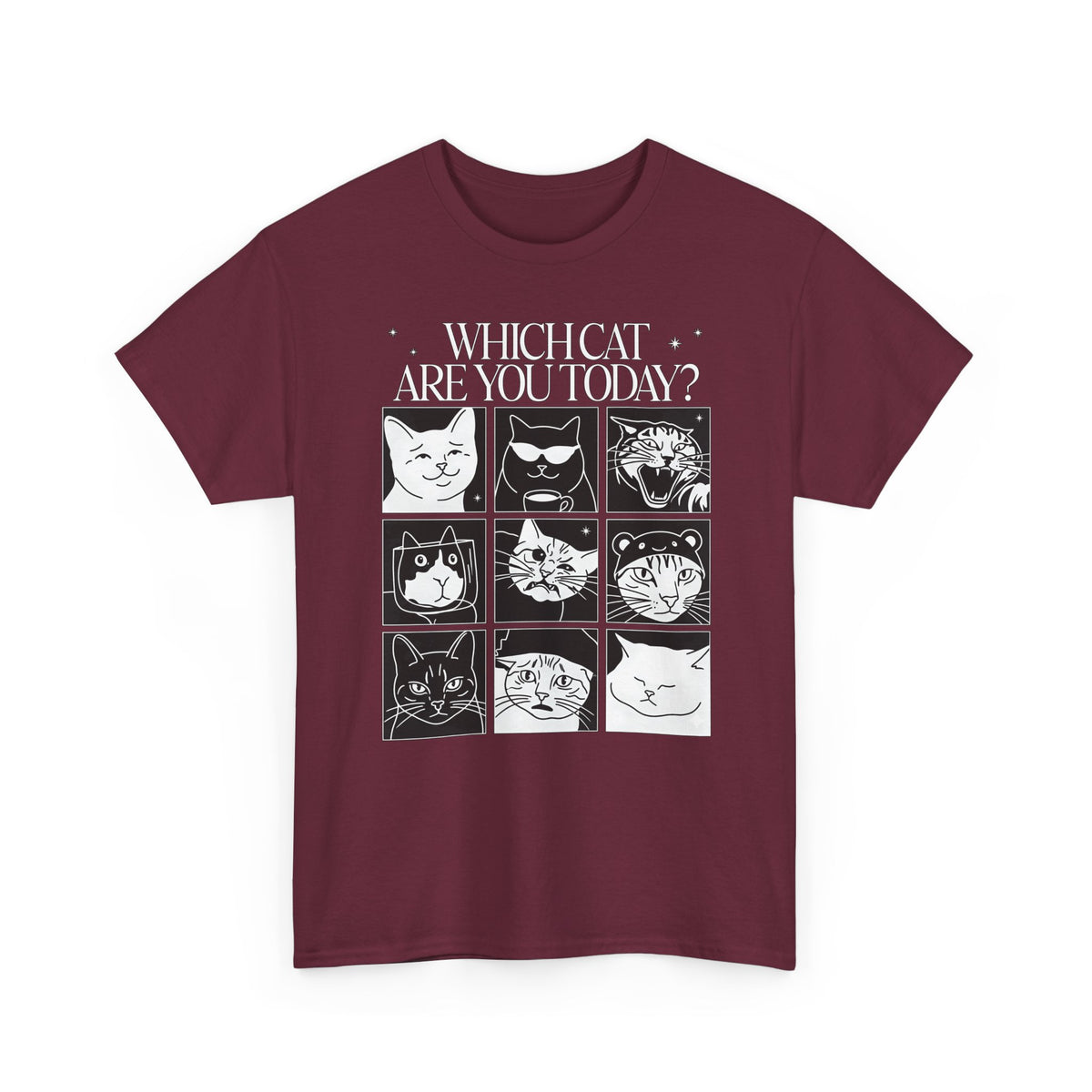 Which Cat You Choose Today T-Shirt — Playful Cat Lover Graphic Tee