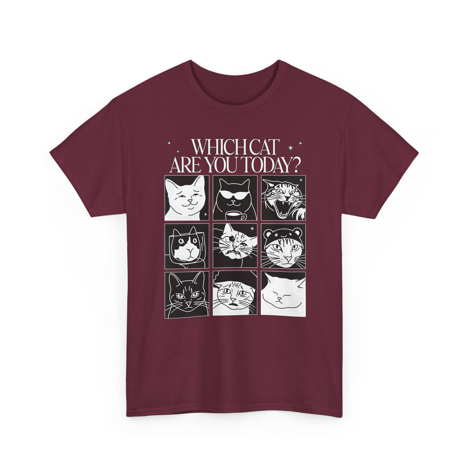 Which Cat You Choose Today T-Shirt — Playful Cat Lover Graphic Tee