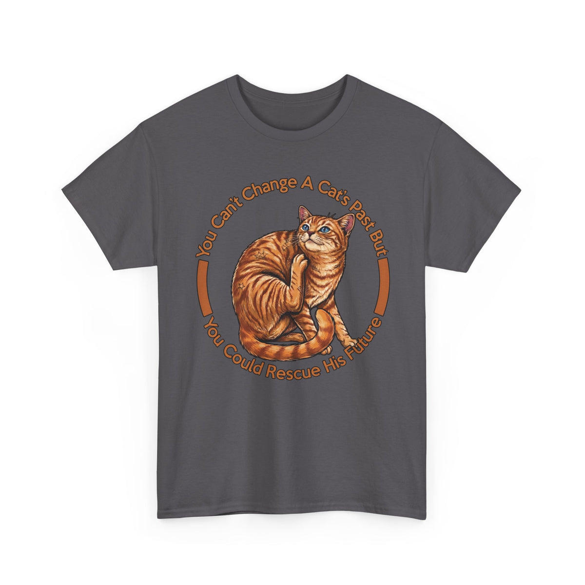 Rescue Cat T-Shirt — You Can't Change A Cat's Past Adoption Tee