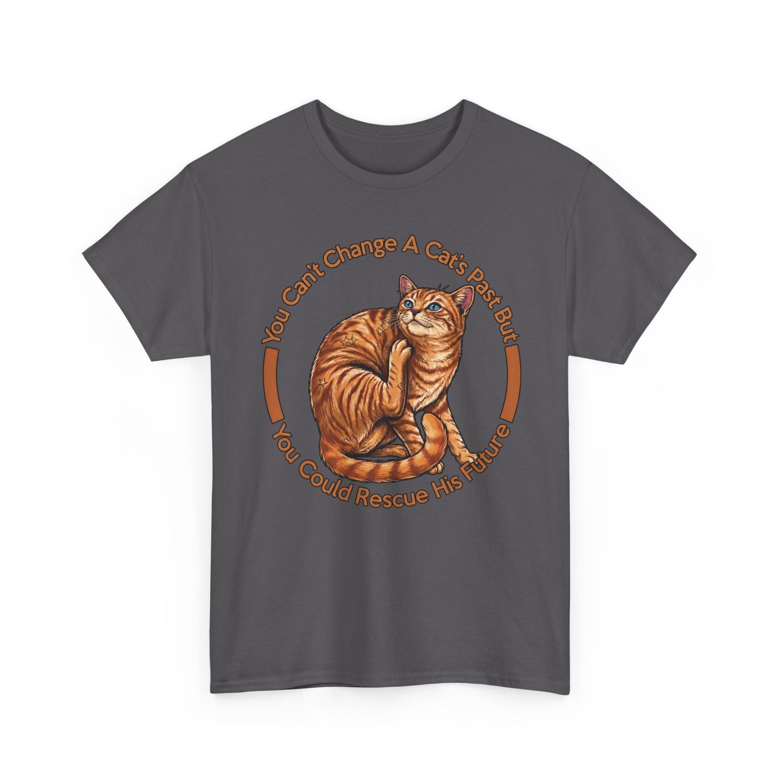 Rescue Cat T-Shirt — You Can't Change A Cat's Past Adoption Tee