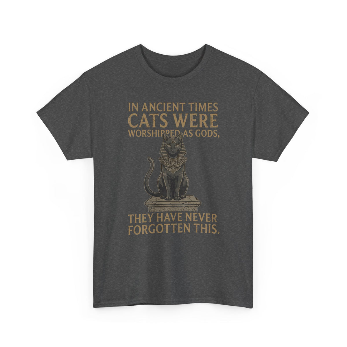 In Ancient Times Cats Were Worshipped Gods T-Shirt