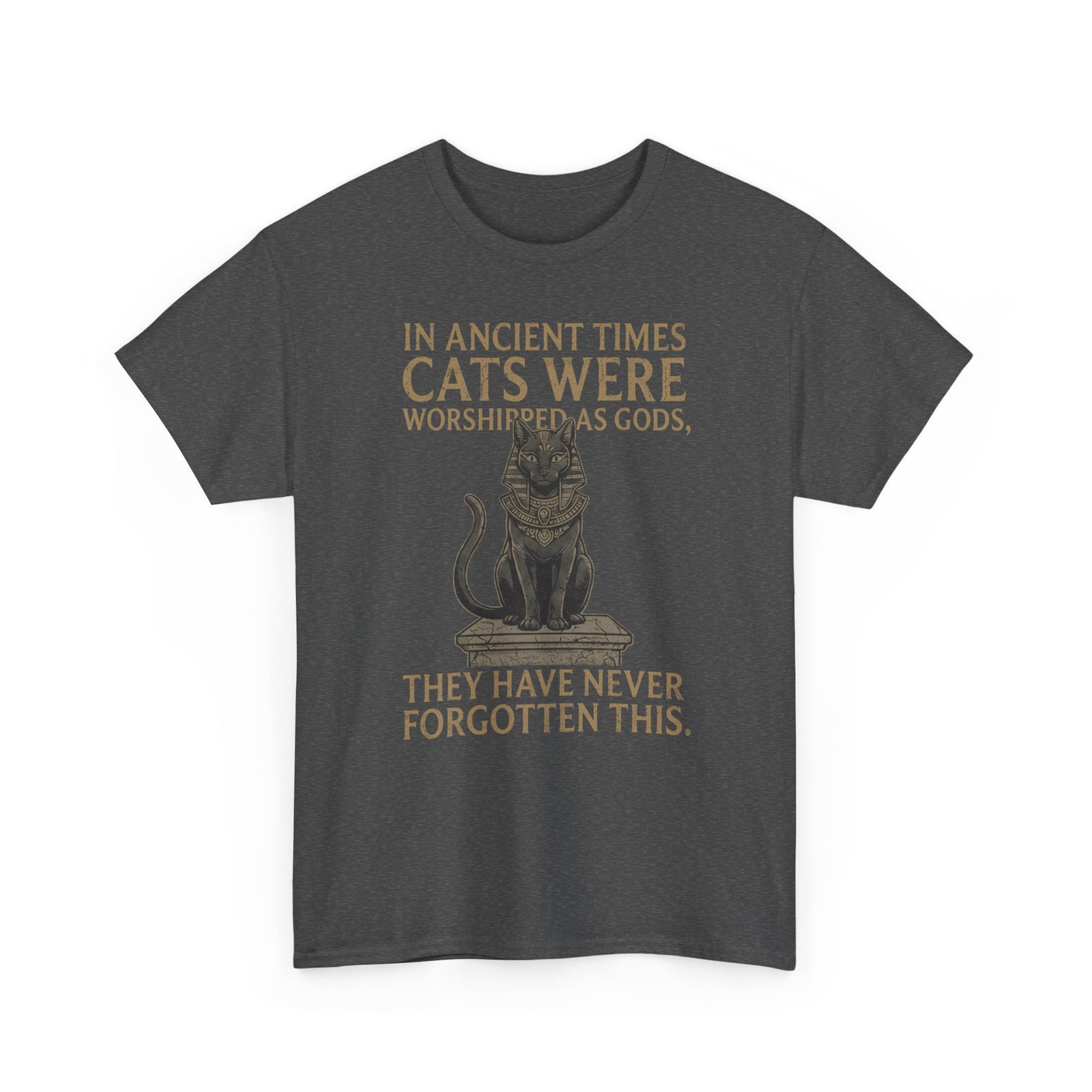 In Ancient Times Cats Were Worshipped Gods T-Shirt