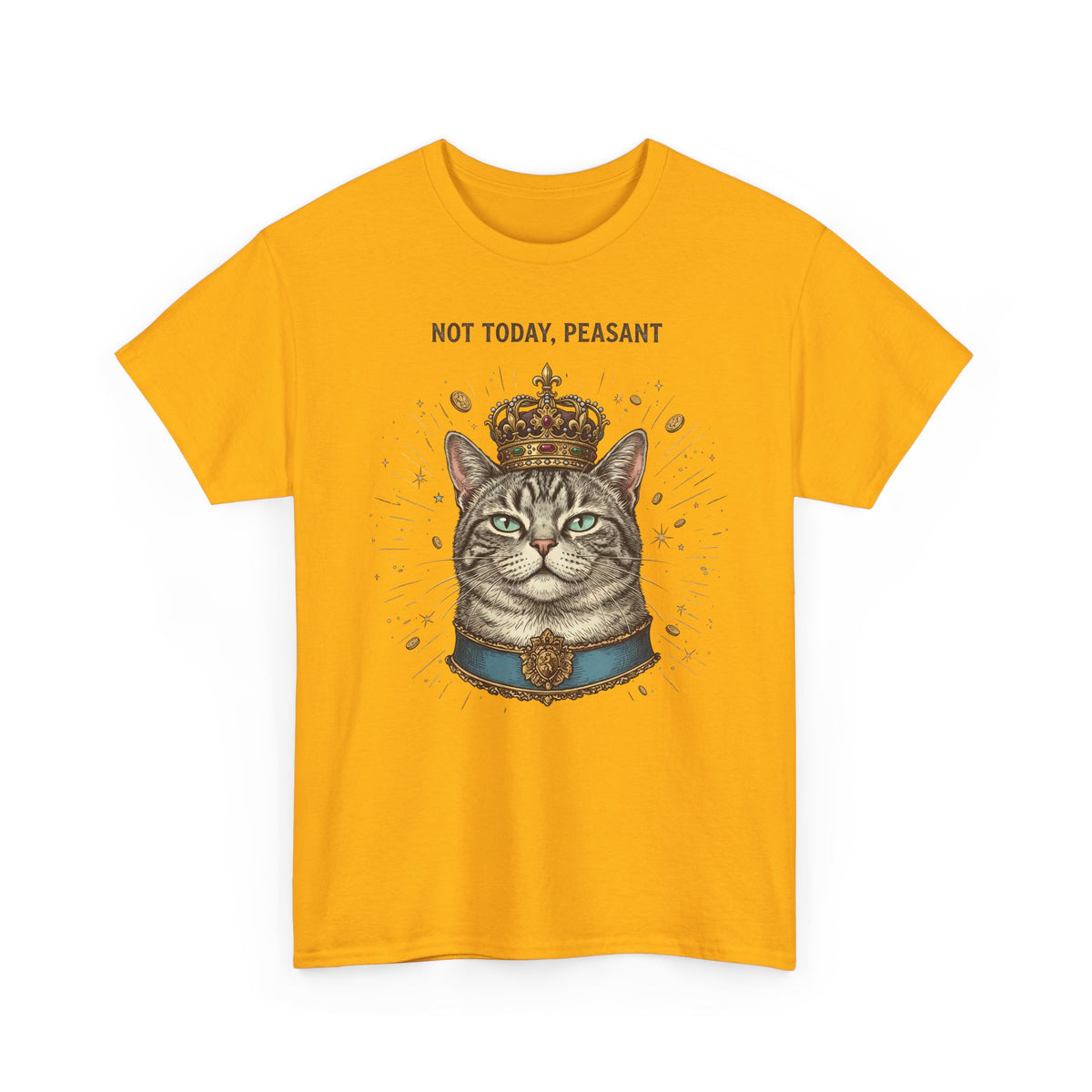 Funny Cat T-Shirt — "Not Today" Graphic Tee