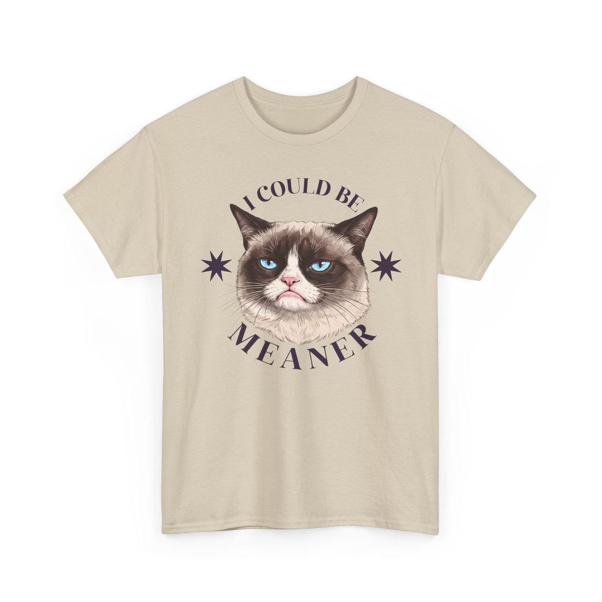 I Could Be Meaner T-Shirt — Funny Grumpy Cat Graphic Tee