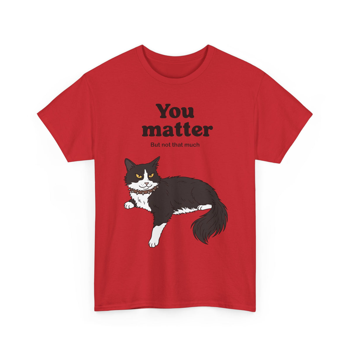 You Matter But Not That Much T-Shirt — Funny Sarcastic Tuxedo Cat Graphic Tee