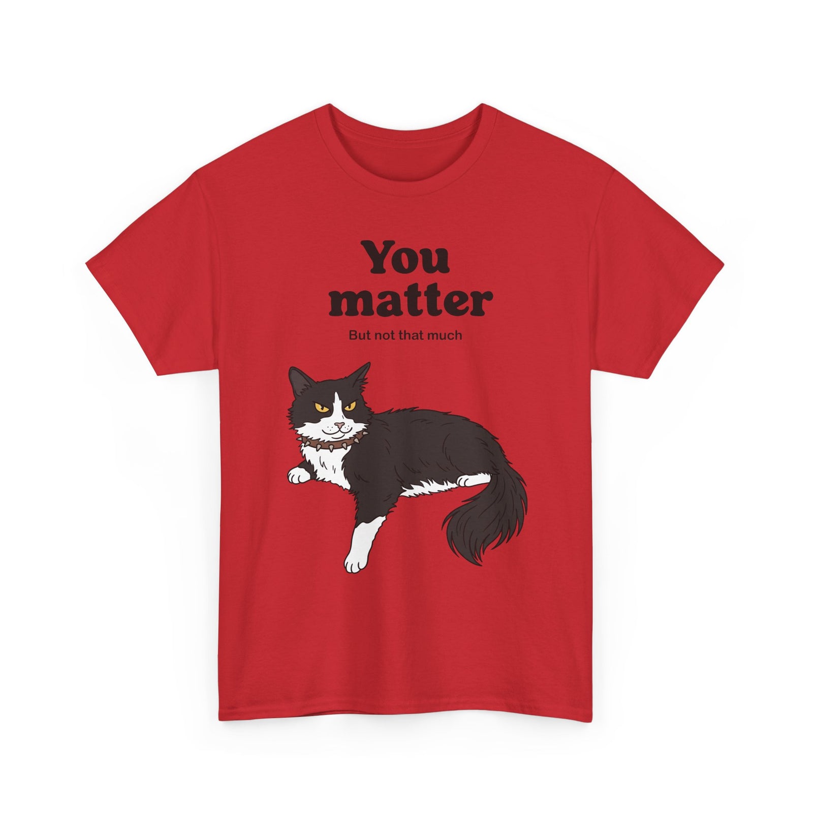 You Matter But Not That Much T-Shirt — Funny Sarcastic Tuxedo Cat Graphic Tee