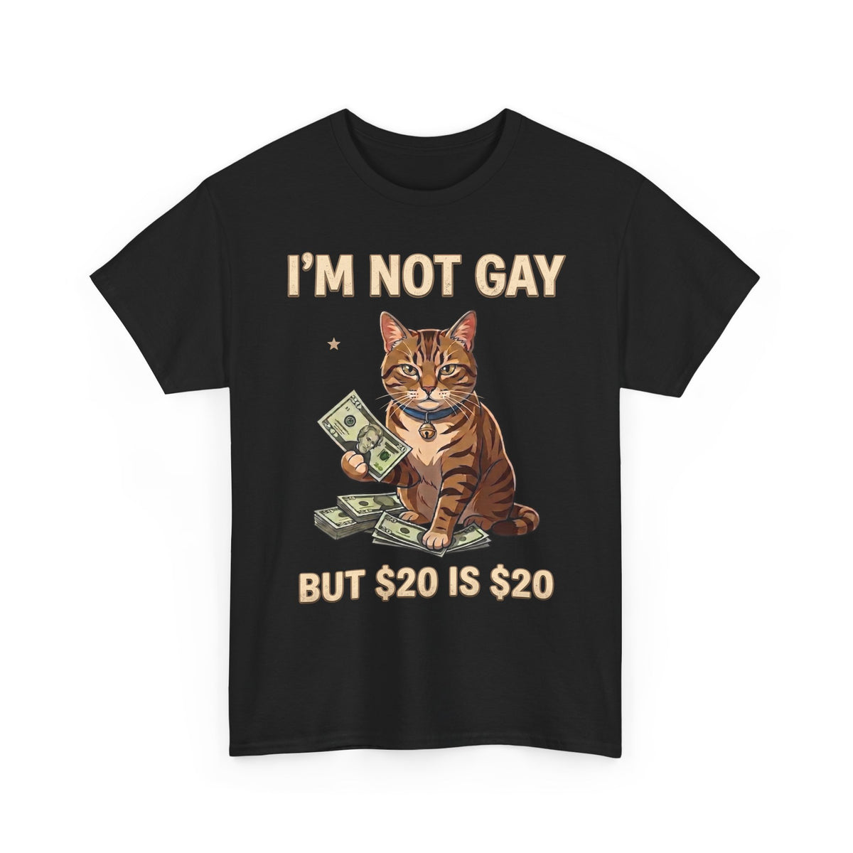 I'm Not Gay But $20 Is $20 T-Shirt — Funny Cat Cash Meme Tee