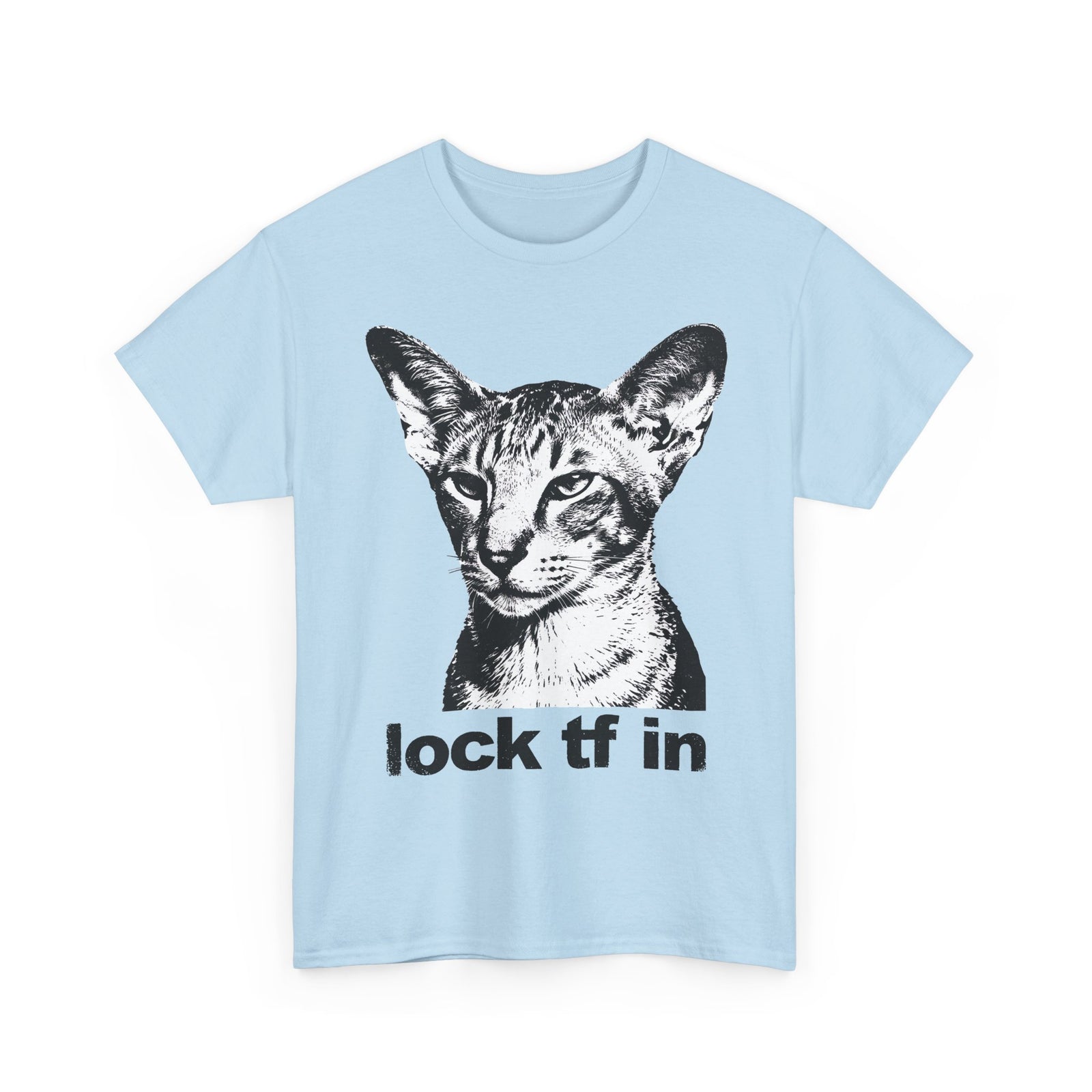 Cat Graphic Tee — "lock tf in" Retro Sphynx Illustration