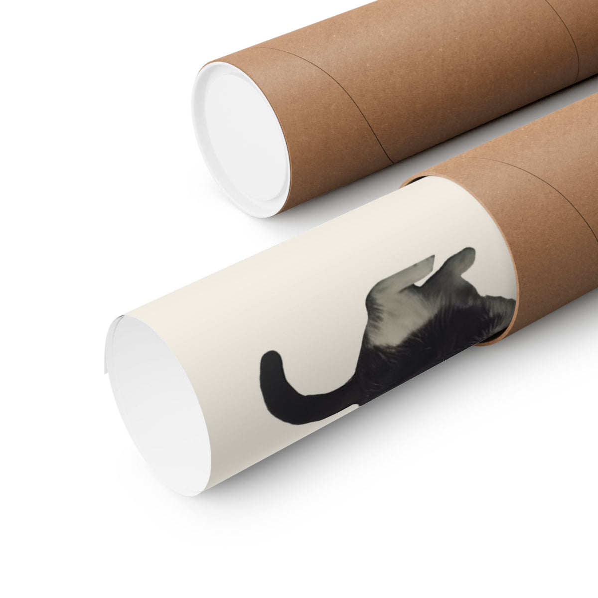 Retro Felines Poster — Vintage Cat Graphic Poster