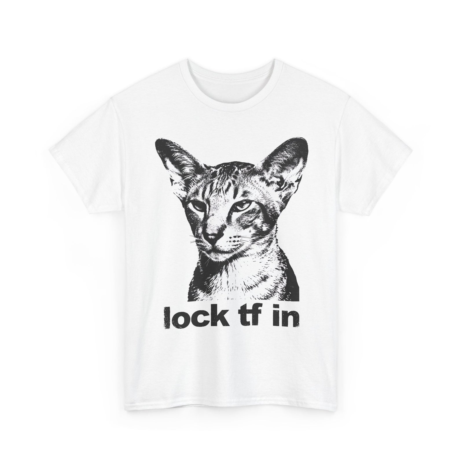 Cat Graphic Tee — "lock tf in" Retro Sphynx Illustration