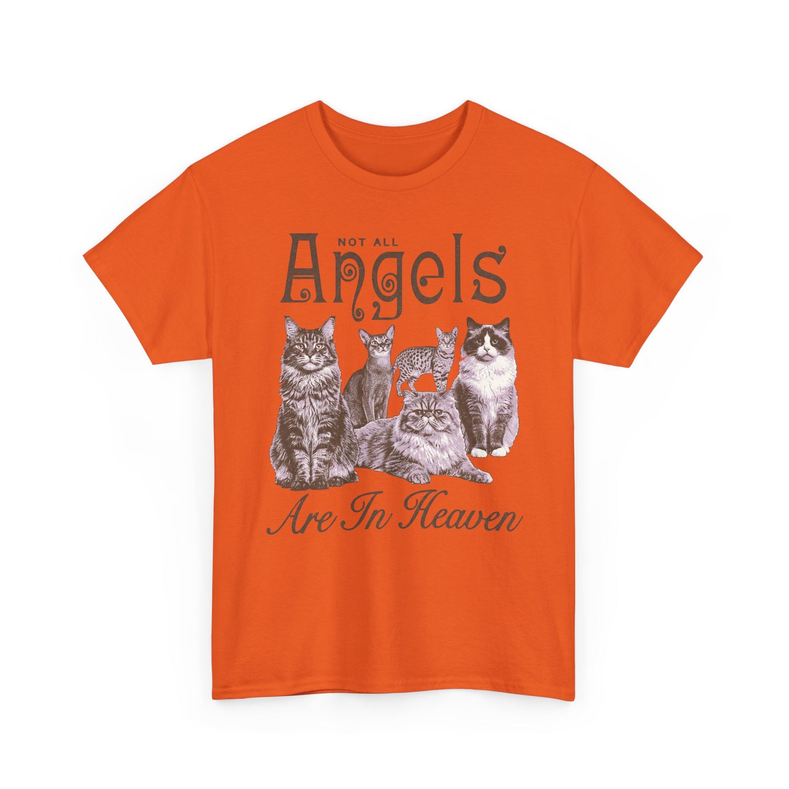 Not All Angels Are In Heaven T-Shirt — Cat Lovers Memorial Tee