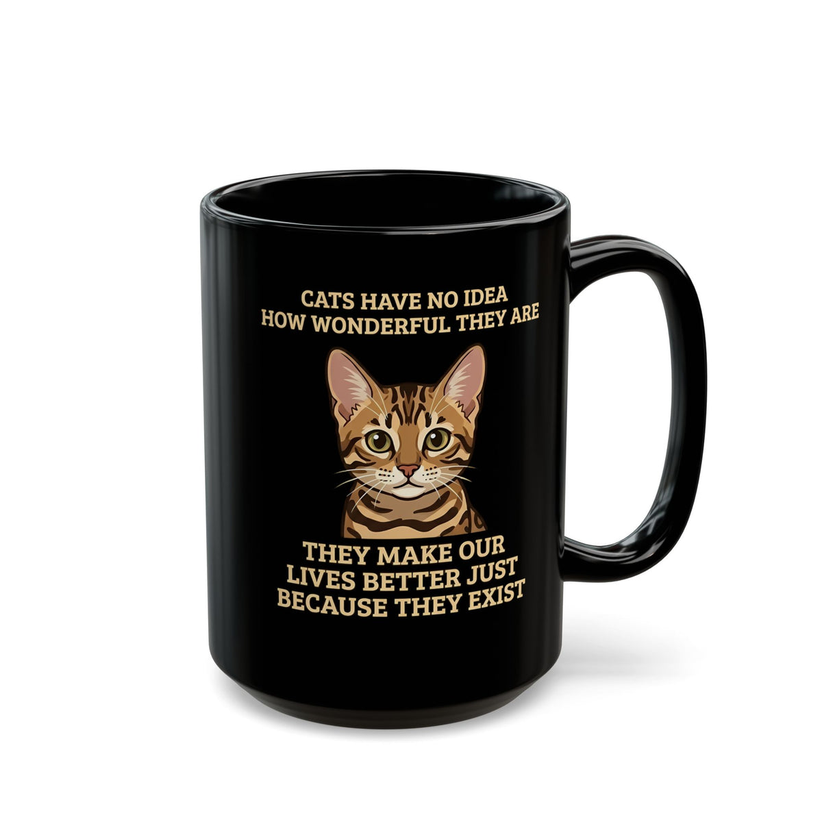 Whimsical "Cats Have No Idea How Wonderful They Are" Cat Black Mug