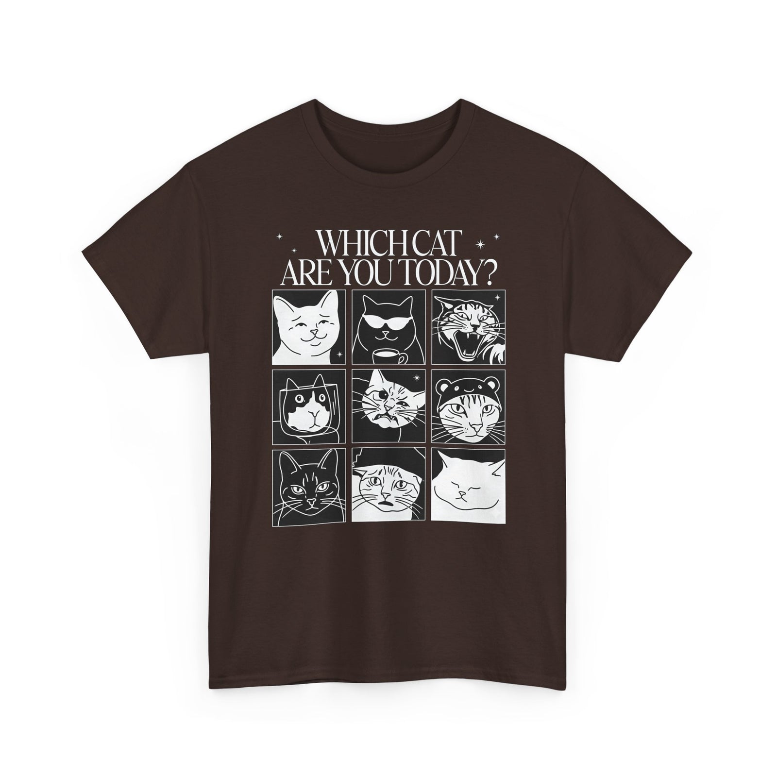 Which Cat You Choose Today T-Shirt — Playful Cat Lover Graphic Tee