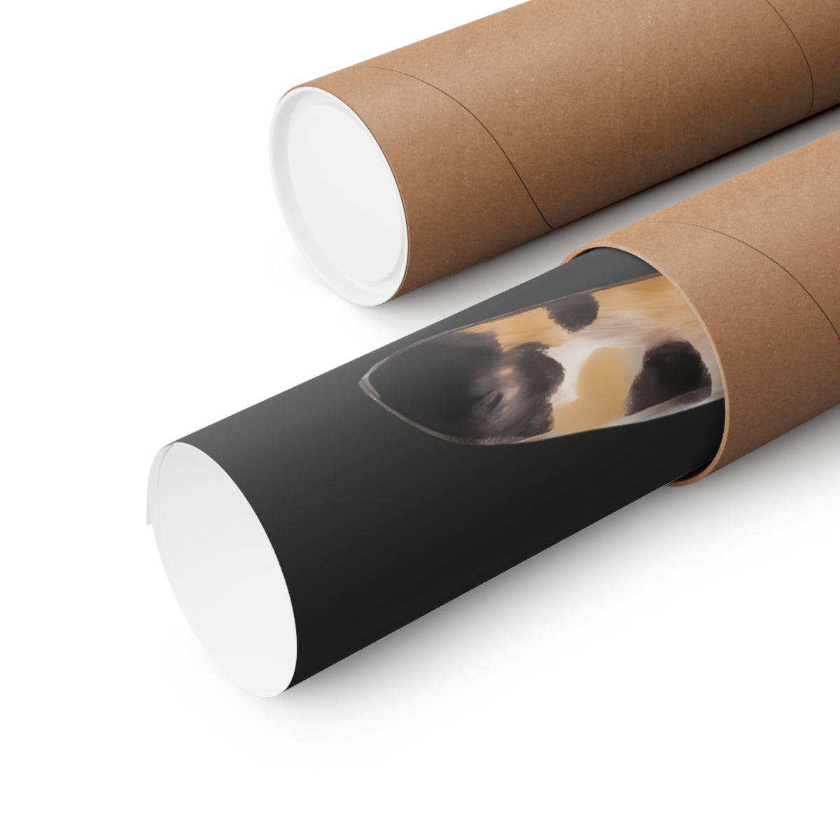 Talk To The Paw Poster — Funny Sarcastic Calico Cat Poster