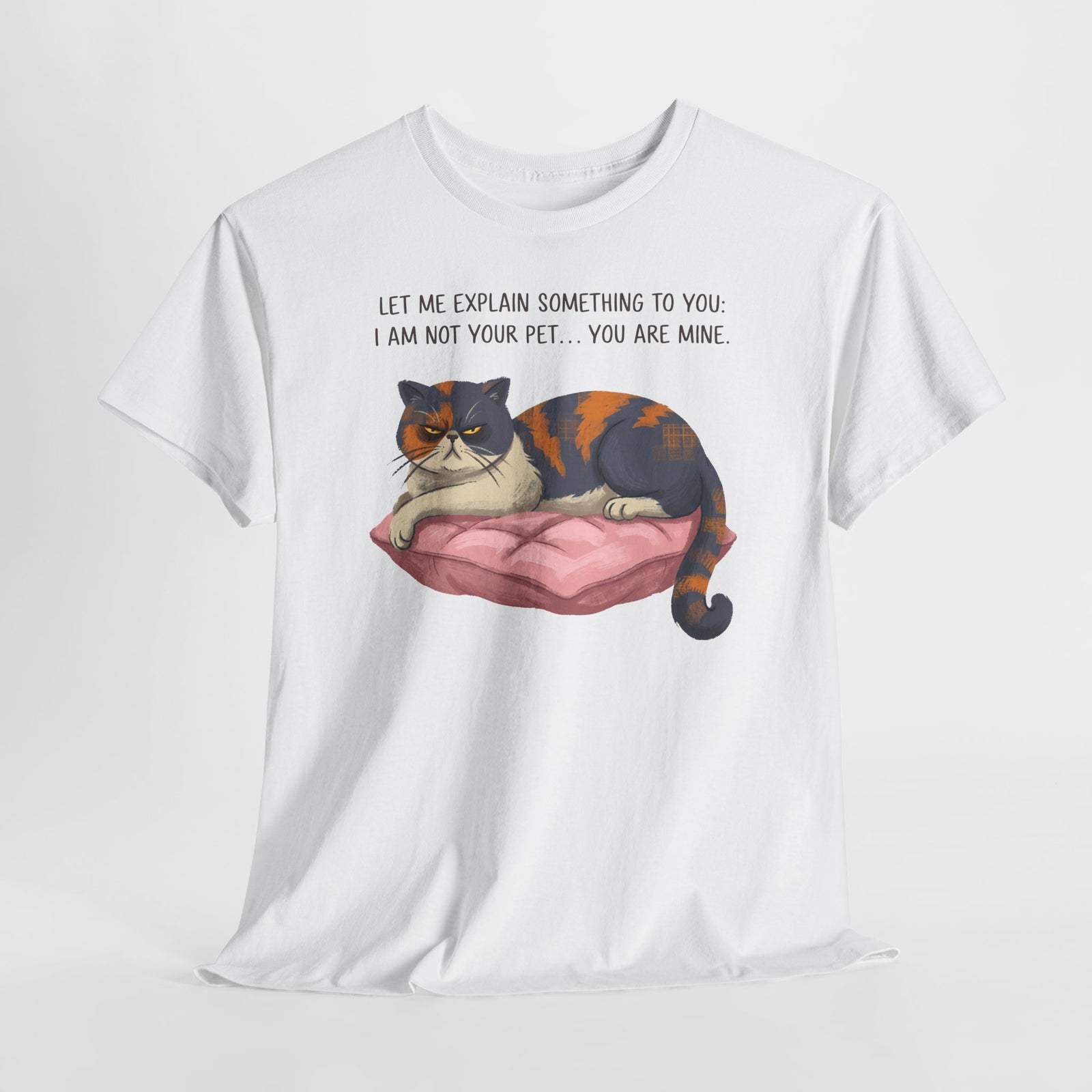 You Are Mine Cat T-Shirt — Grumpy Exotic Shorthair Calico Graphic Tee