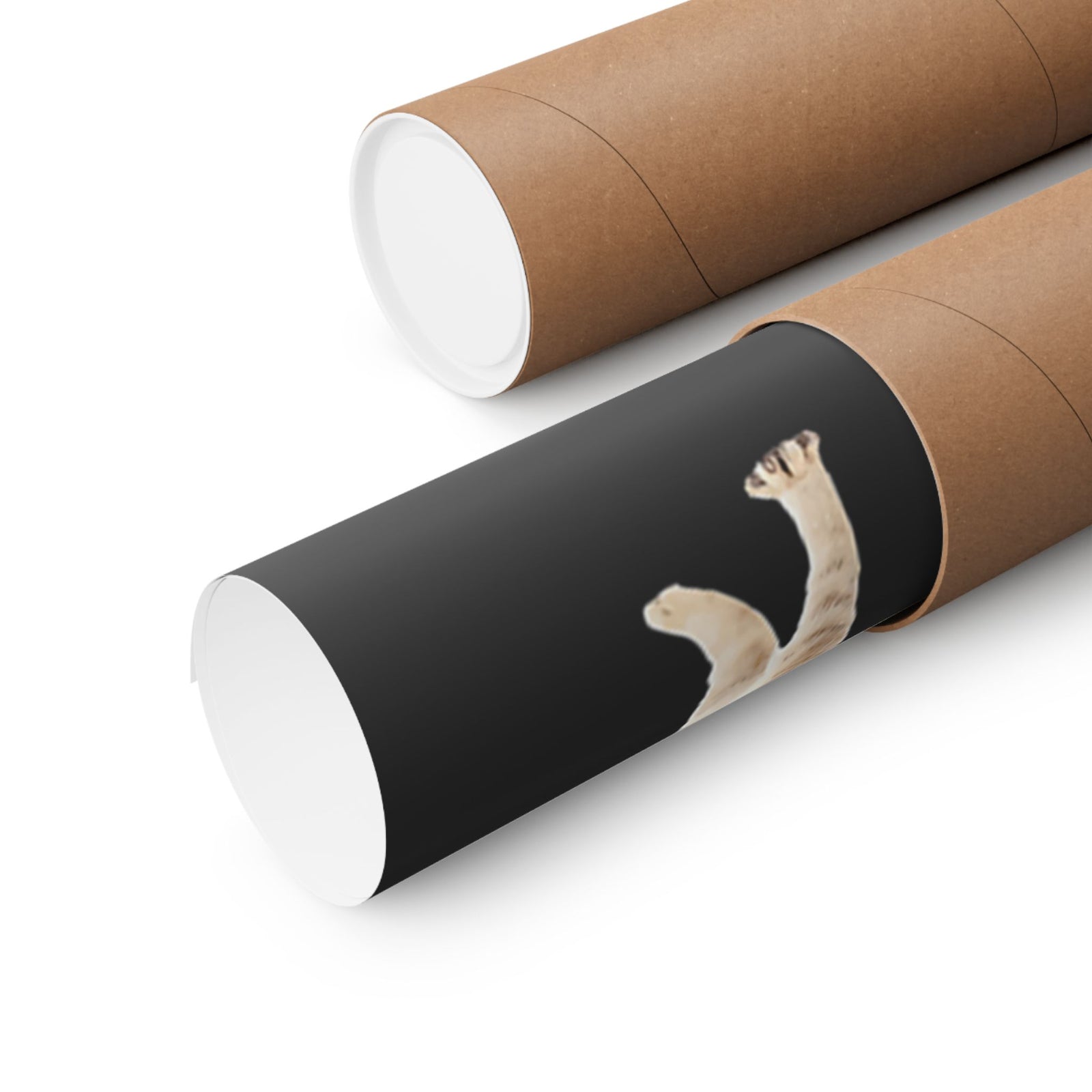 Meow Wars Poster — Funny Cat Lightsaber Poster