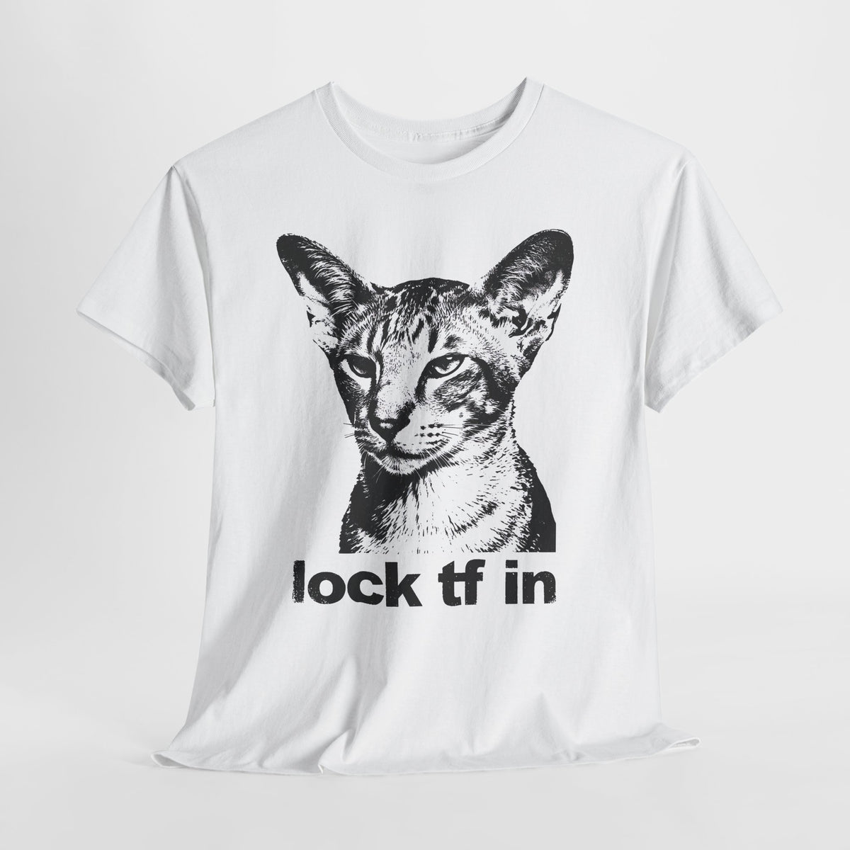 Cat Graphic Tee — "lock tf in" Retro Sphynx Illustration
