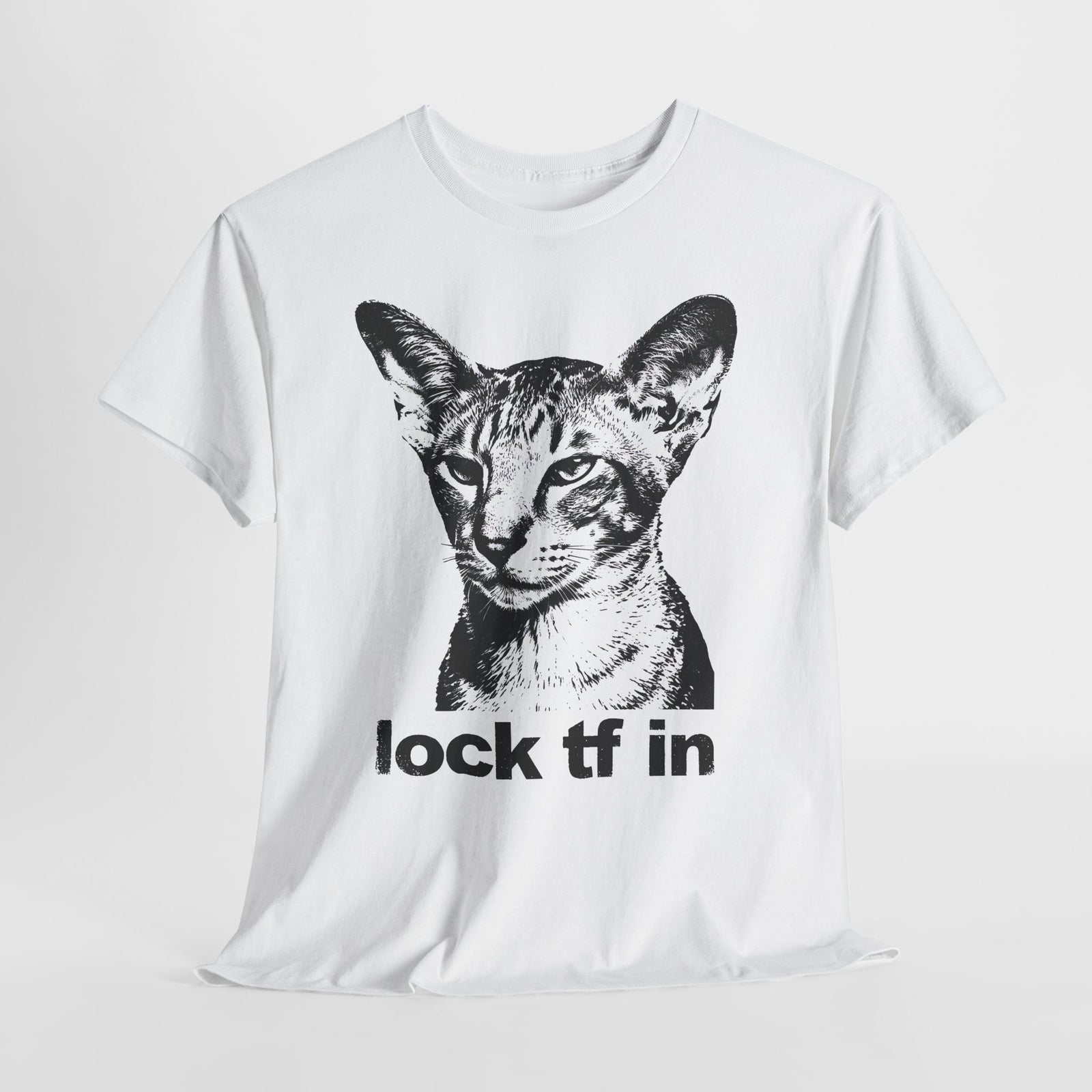 Cat Graphic Tee — "lock tf in" Retro Sphynx Illustration