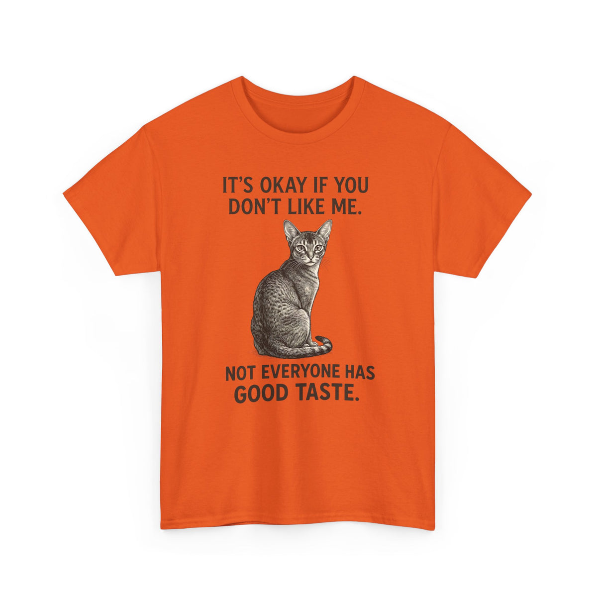 Sassy Cat 'It's Okay If You Don't Like Me' T-Shirt