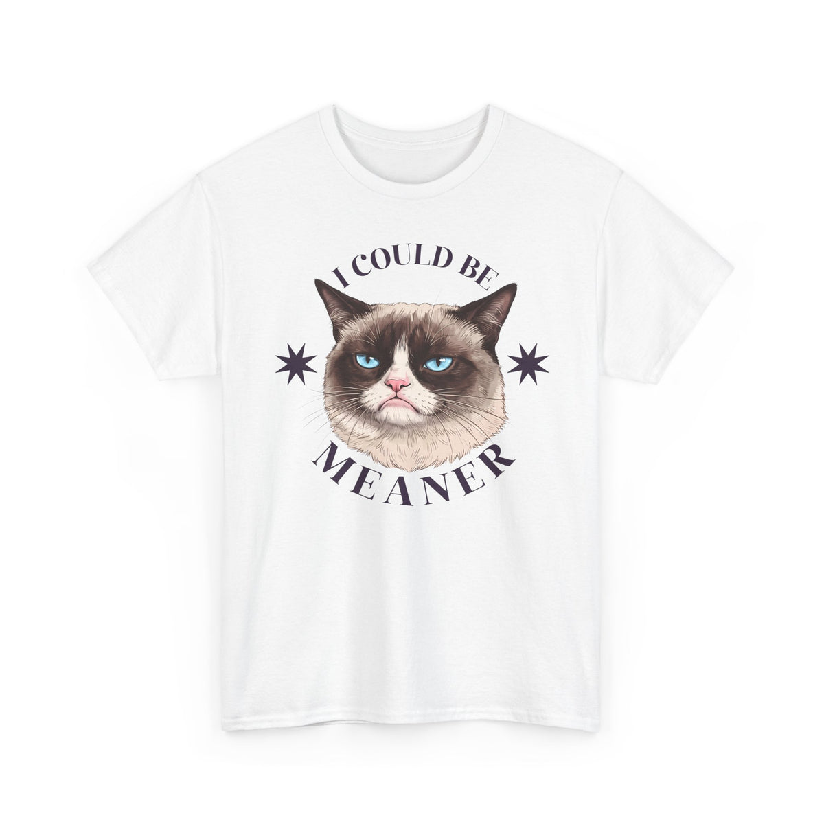 I Could Be Meaner T-Shirt — Funny Grumpy Cat Graphic Tee