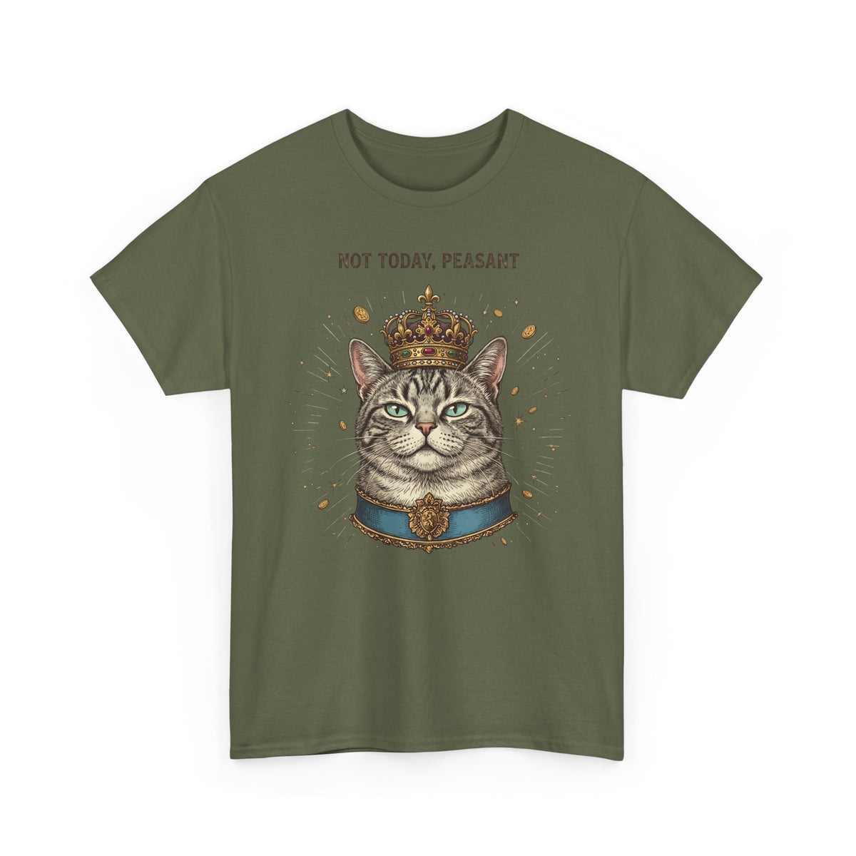 Funny Cat T-Shirt — "Not Today" Graphic Tee