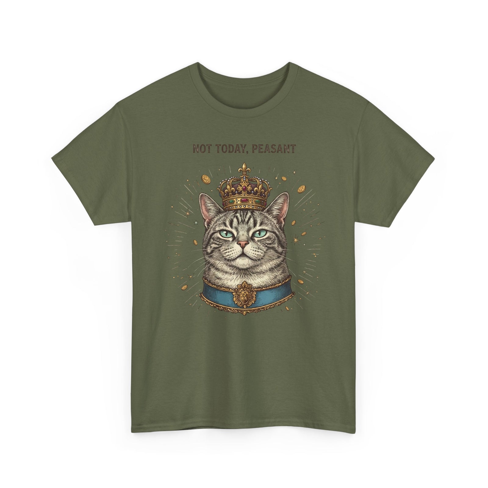 Funny Cat T-Shirt — "Not Today" Graphic Tee