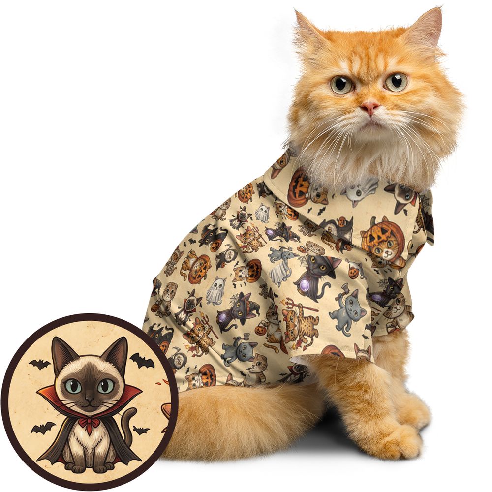 Halloween Kitty Character Collection -  - 1