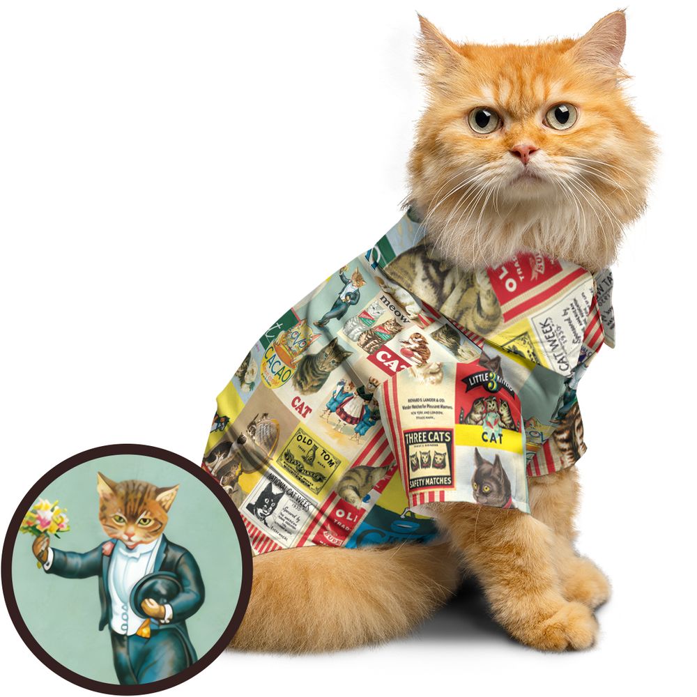 Musical Cats Playing Instruments Band Pet Hawaiian Shirt -  - 1