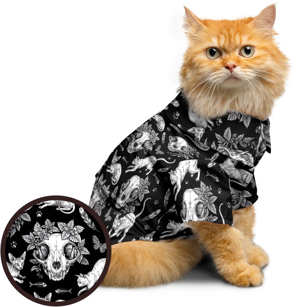 Feline Macabre -  - 1