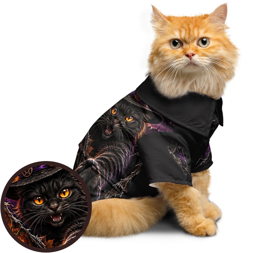Paws & Portals Witch-Cat Halloween -  - 1
