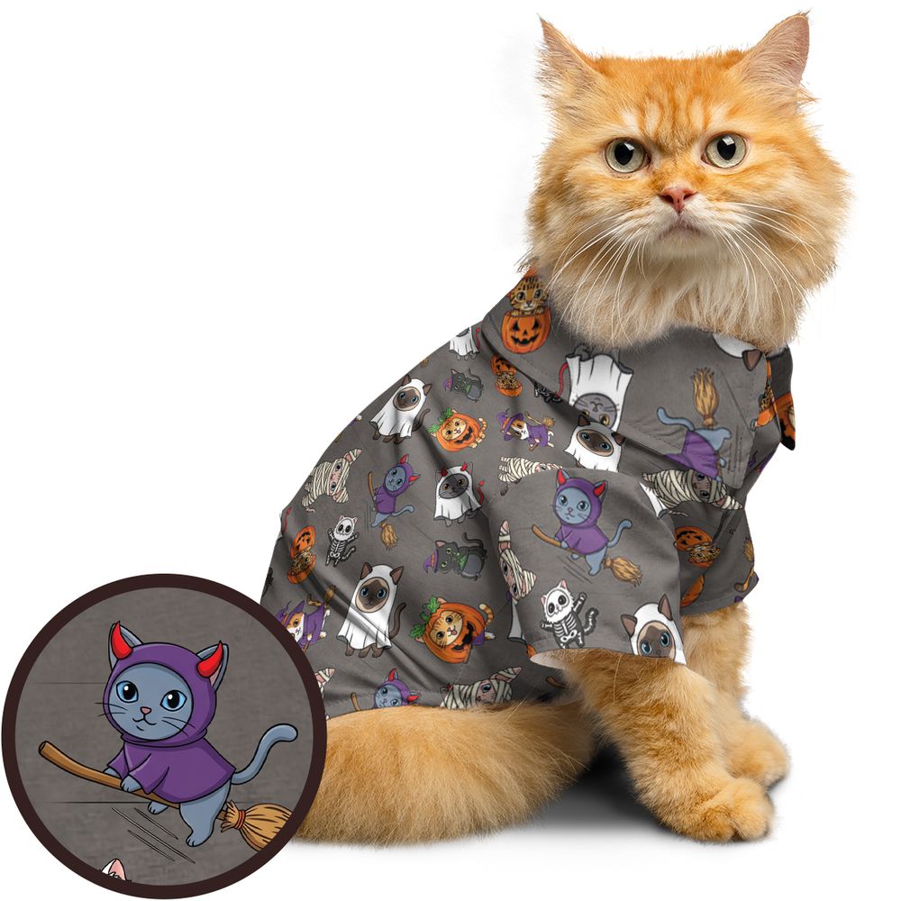 Purr-fectly Spooky -  - 1