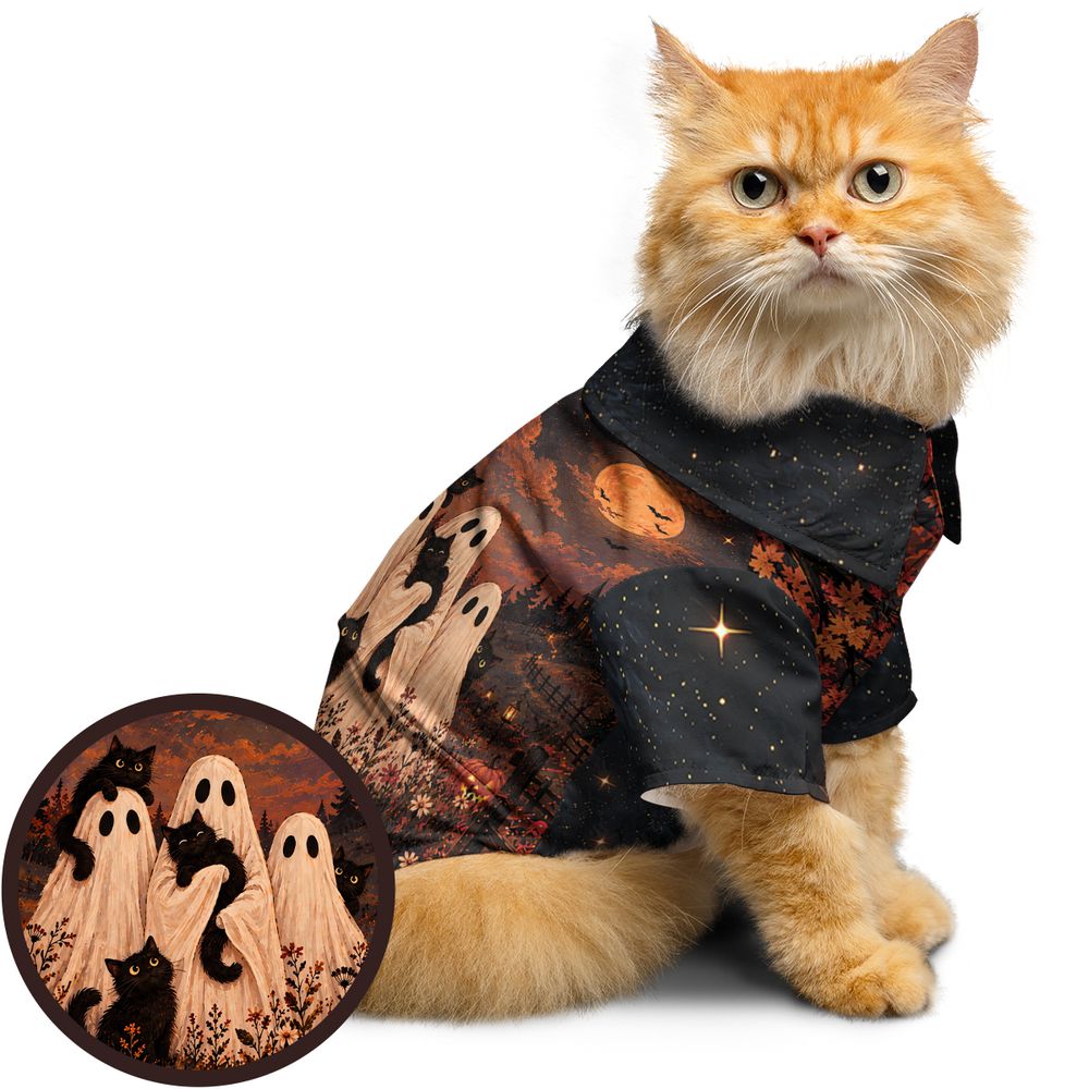 Black Cats and Ghost Halloween Night -  - 1