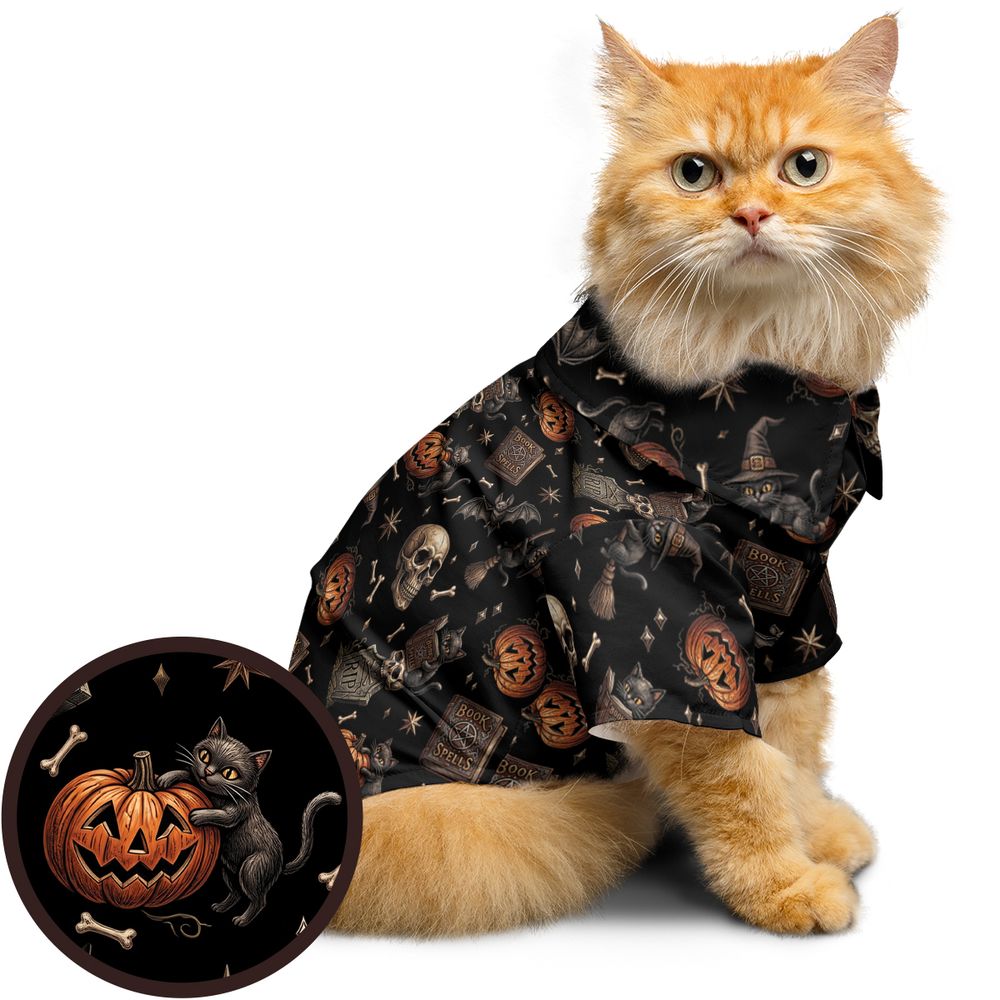 Coven Cats -  - 1