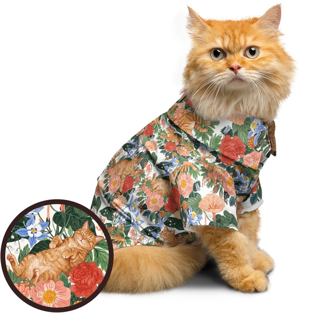 The Botanist's Cat -  - 1