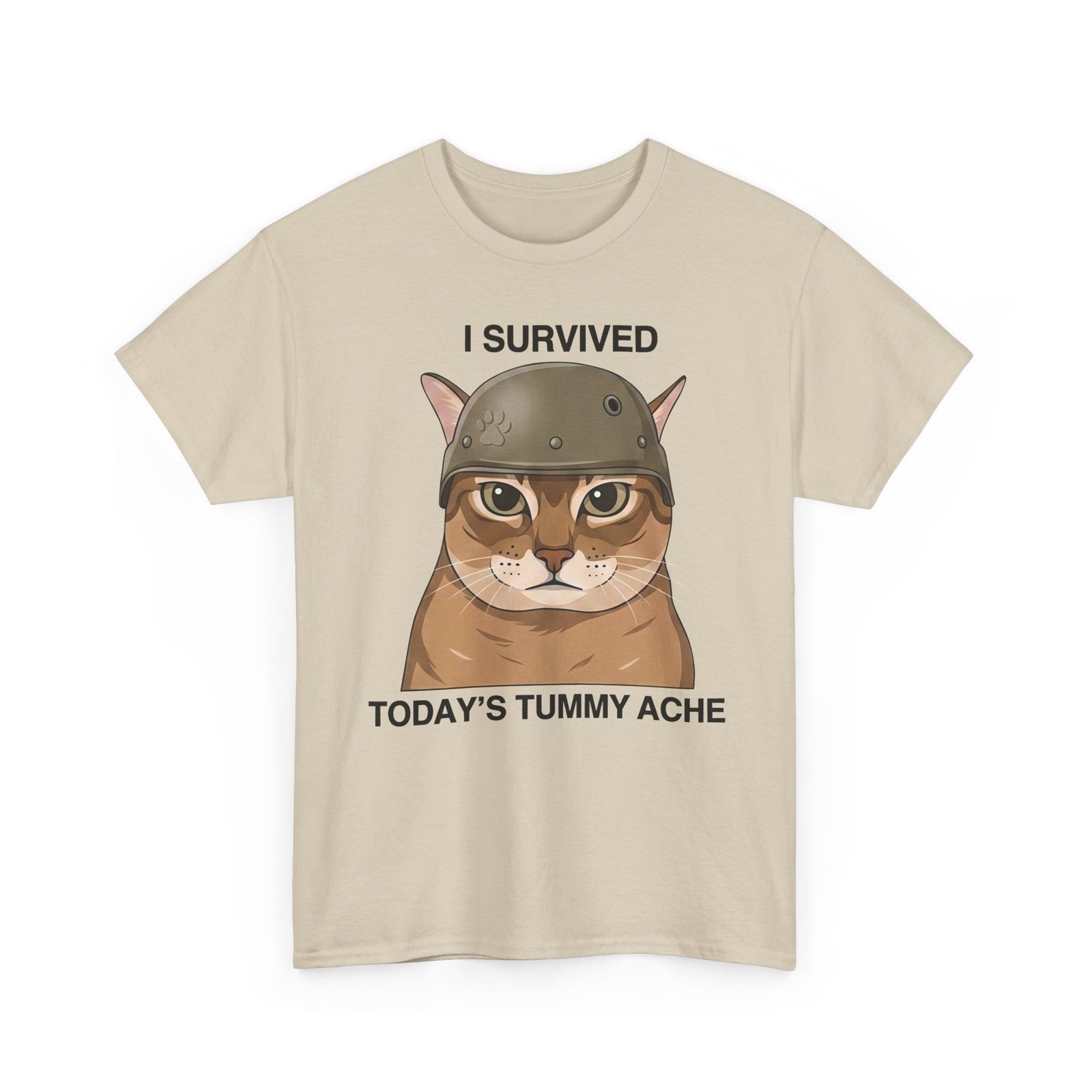 I Survived Today's Tummy Ache T-Shirt — Funny Novelty Tee for Moms, Kids & Caregivers