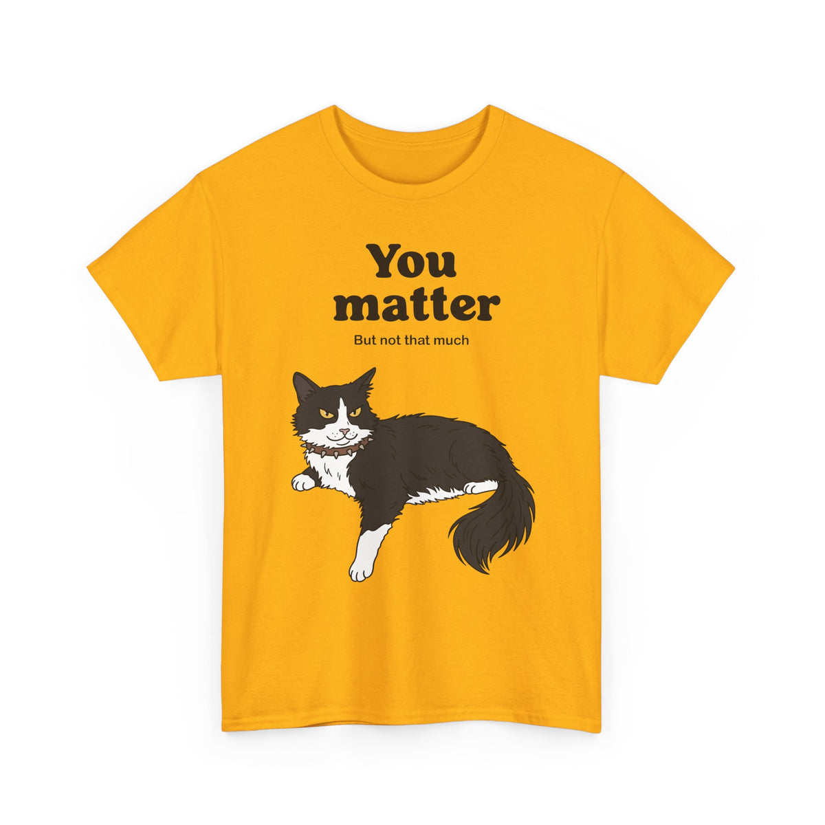 You Matter But Not That Much T-Shirt — Funny Sarcastic Tuxedo Cat Graphic Tee