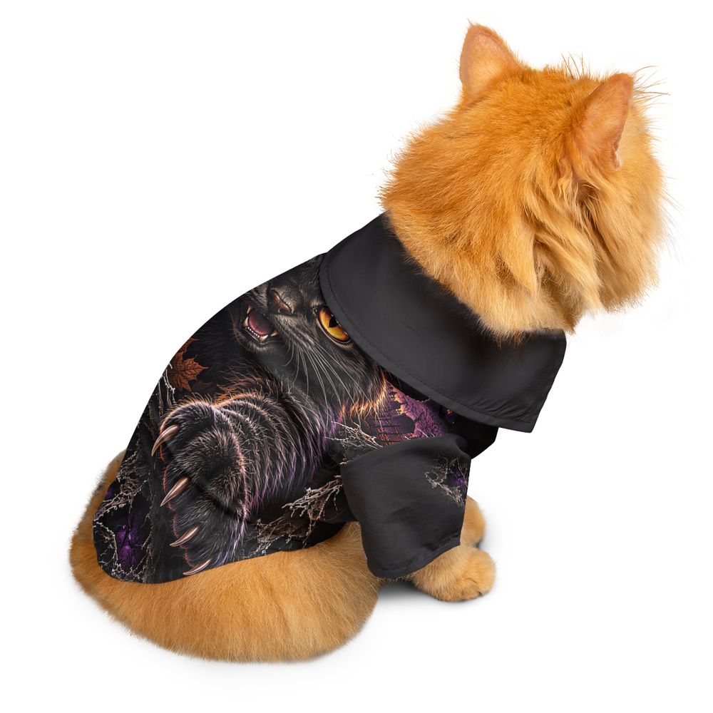 Paws & Portals Witch-Cat Halloween -  - 2