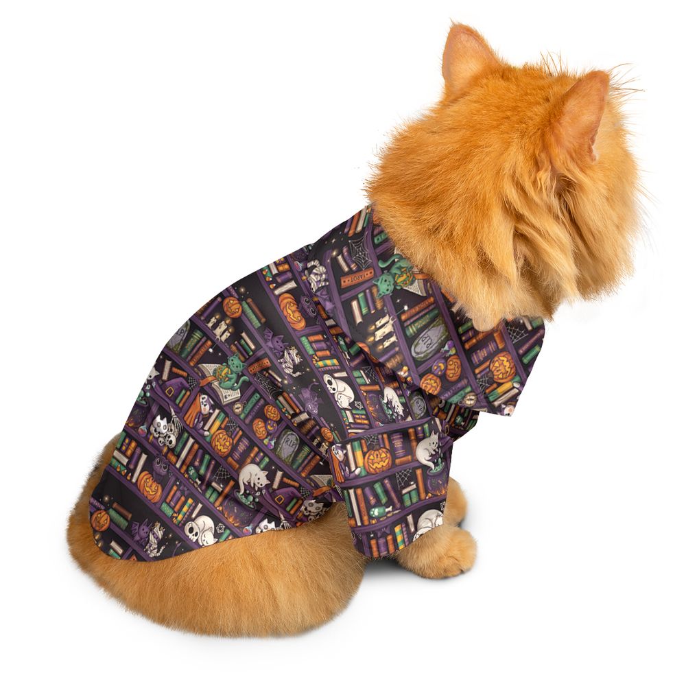 Witchy Cat Library -  - 2