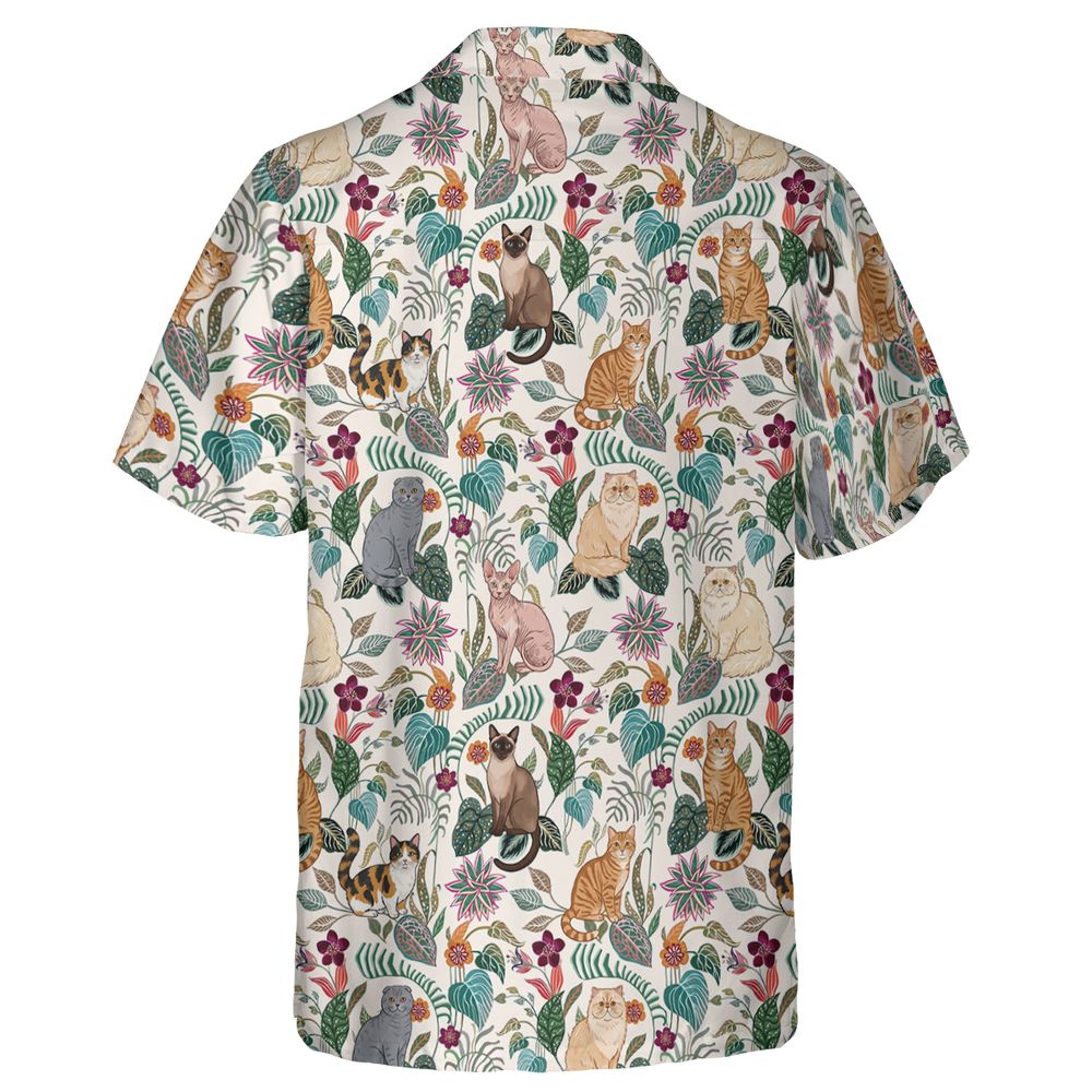 Jungle Purr-adise -  - 2