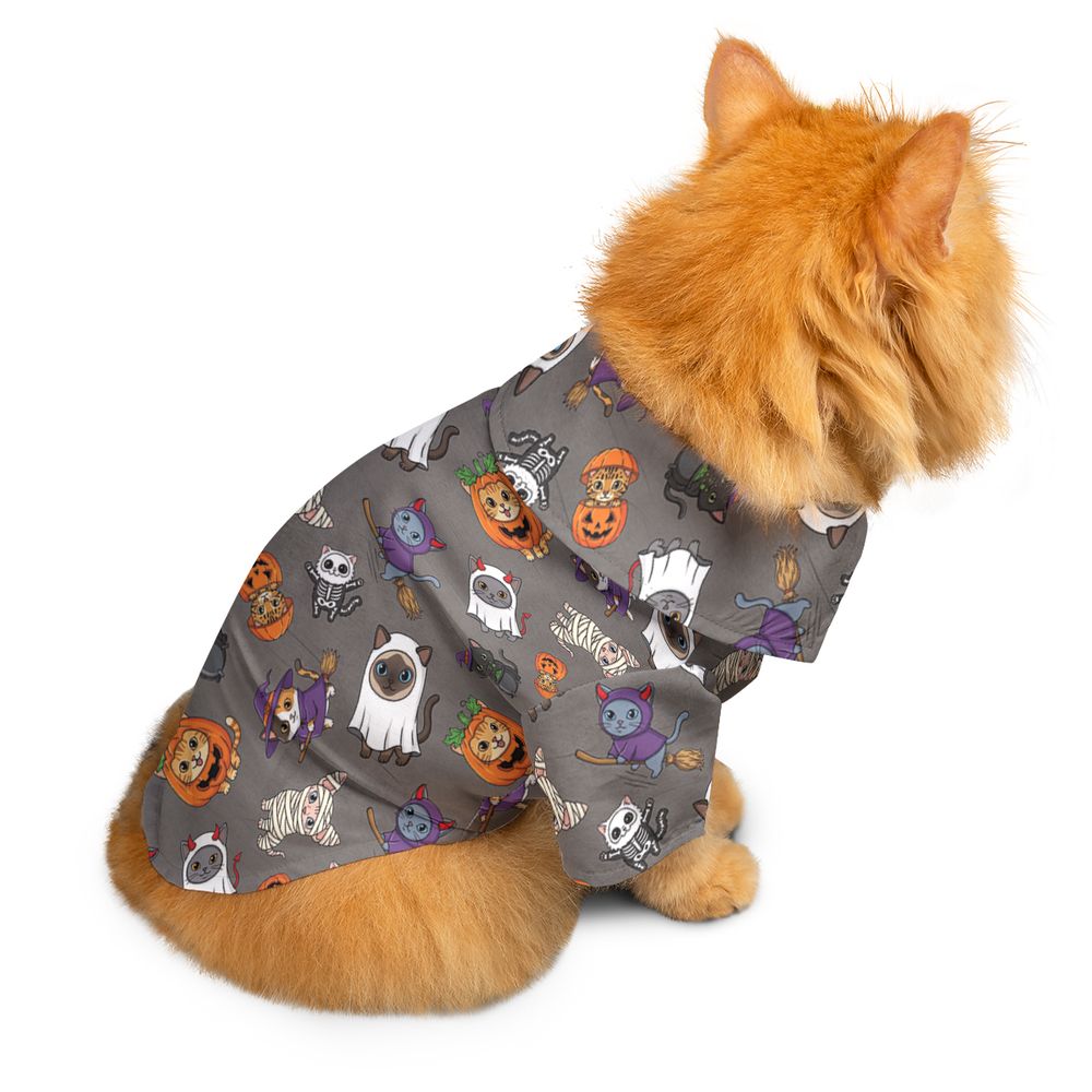 Purr-fectly Spooky -  - 2