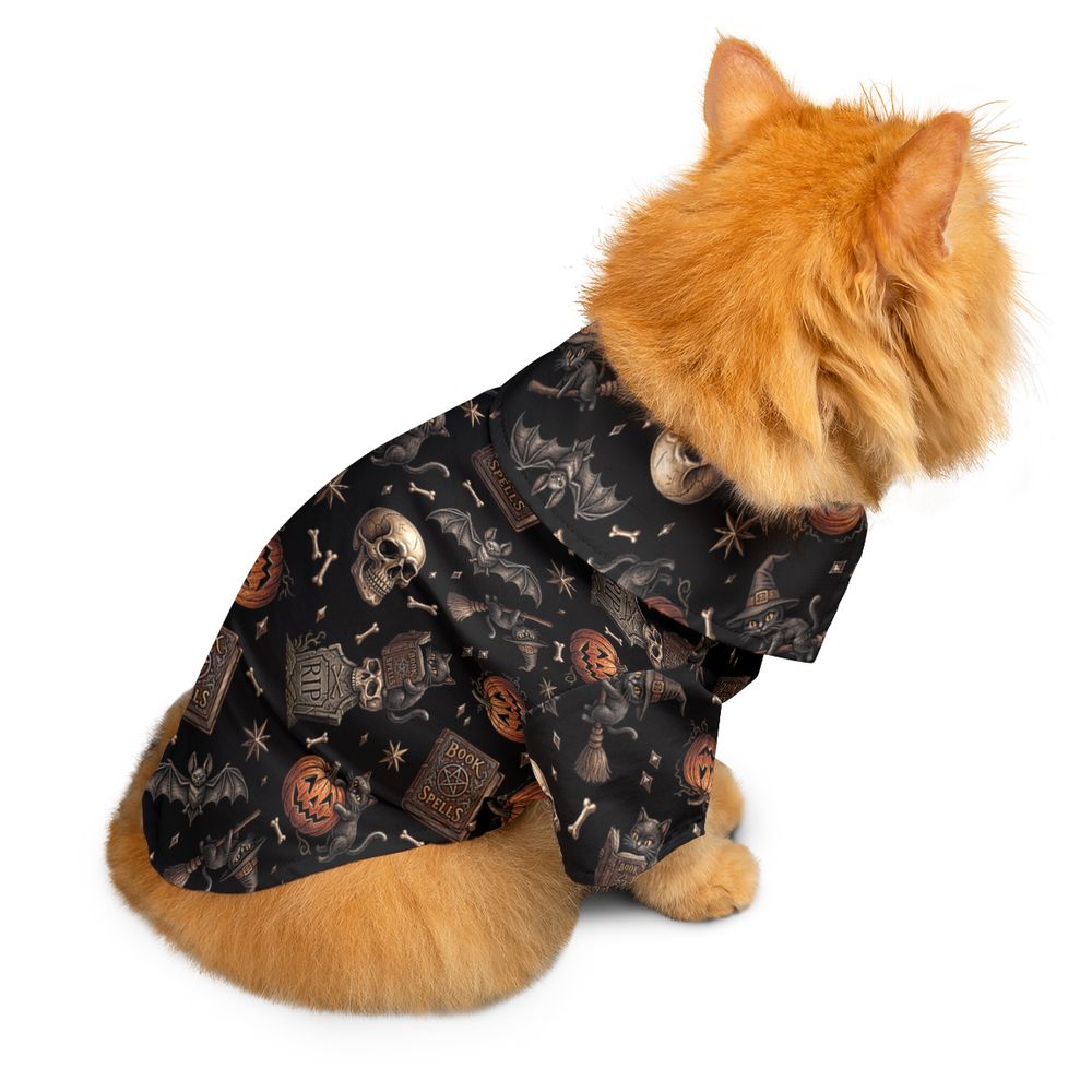 Coven Cats -  - 2
