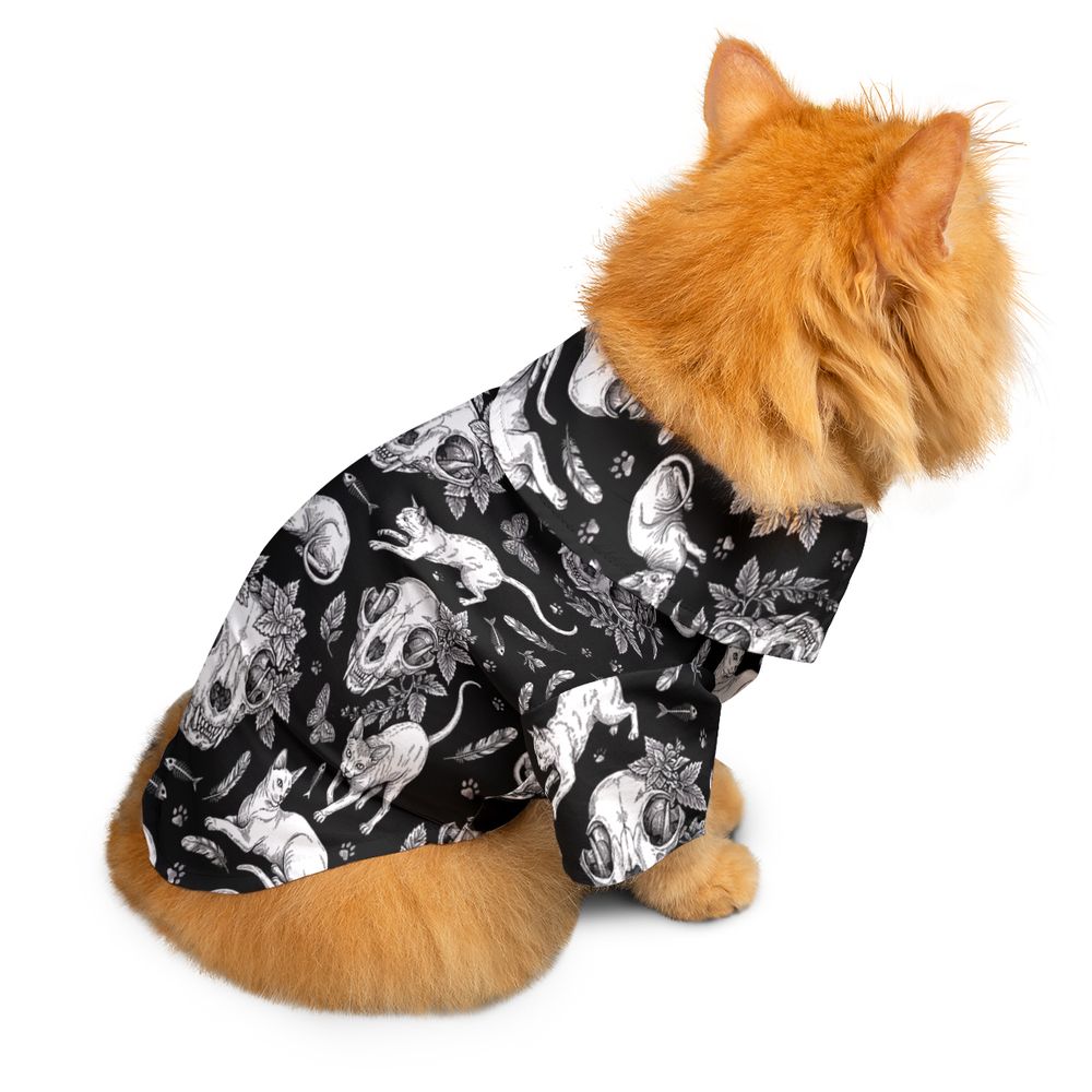 Feline Macabre -  - 2