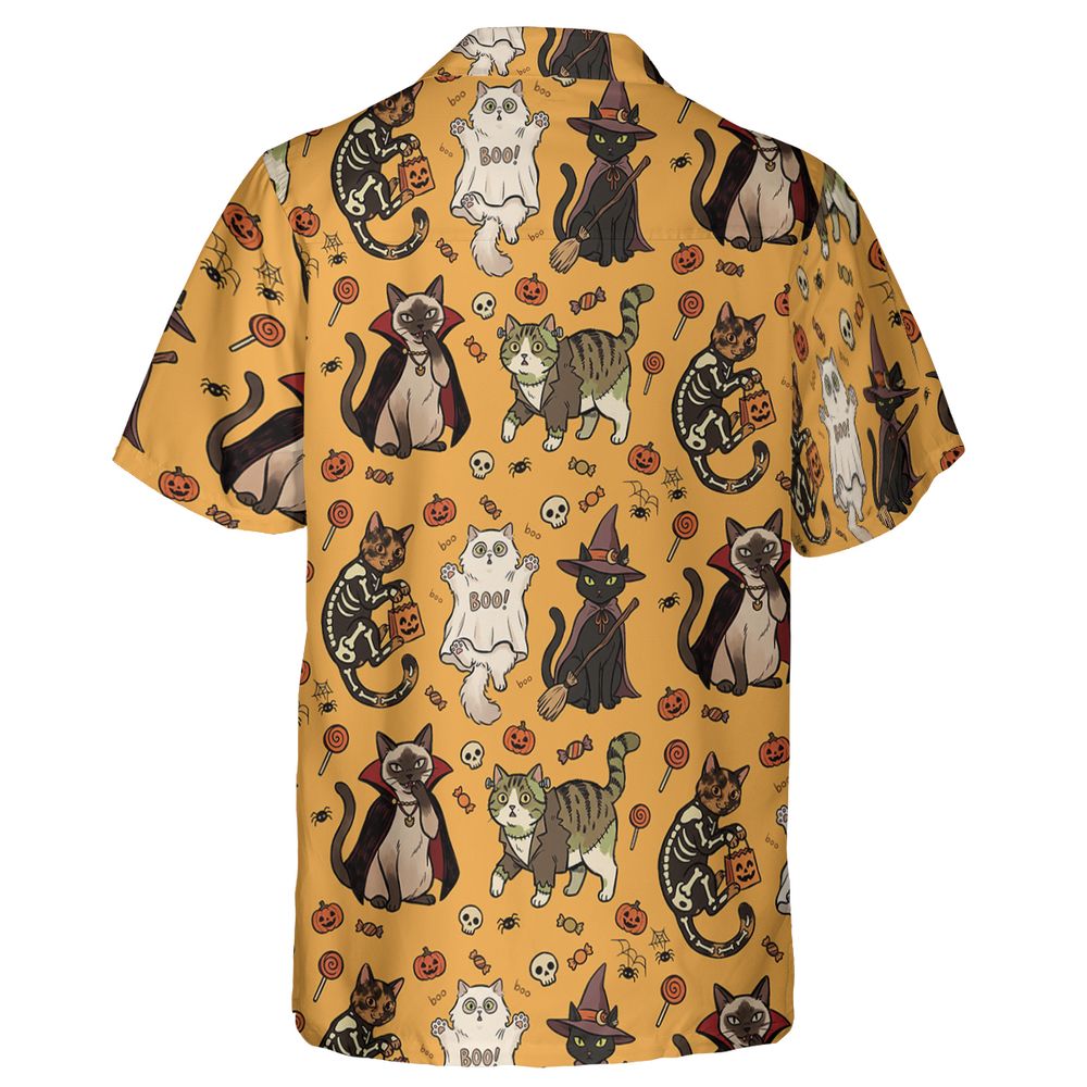 Trick-or-Treat Kitties -  - 2